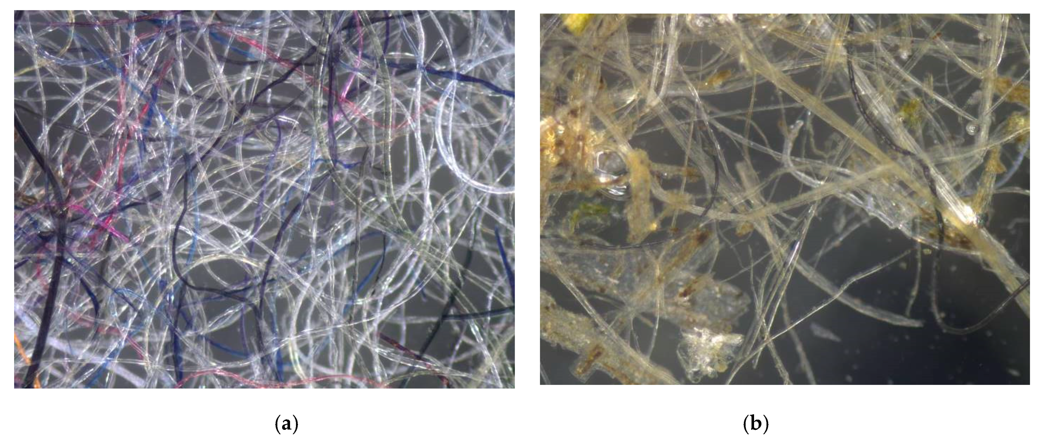 Energies 13 01165 g002