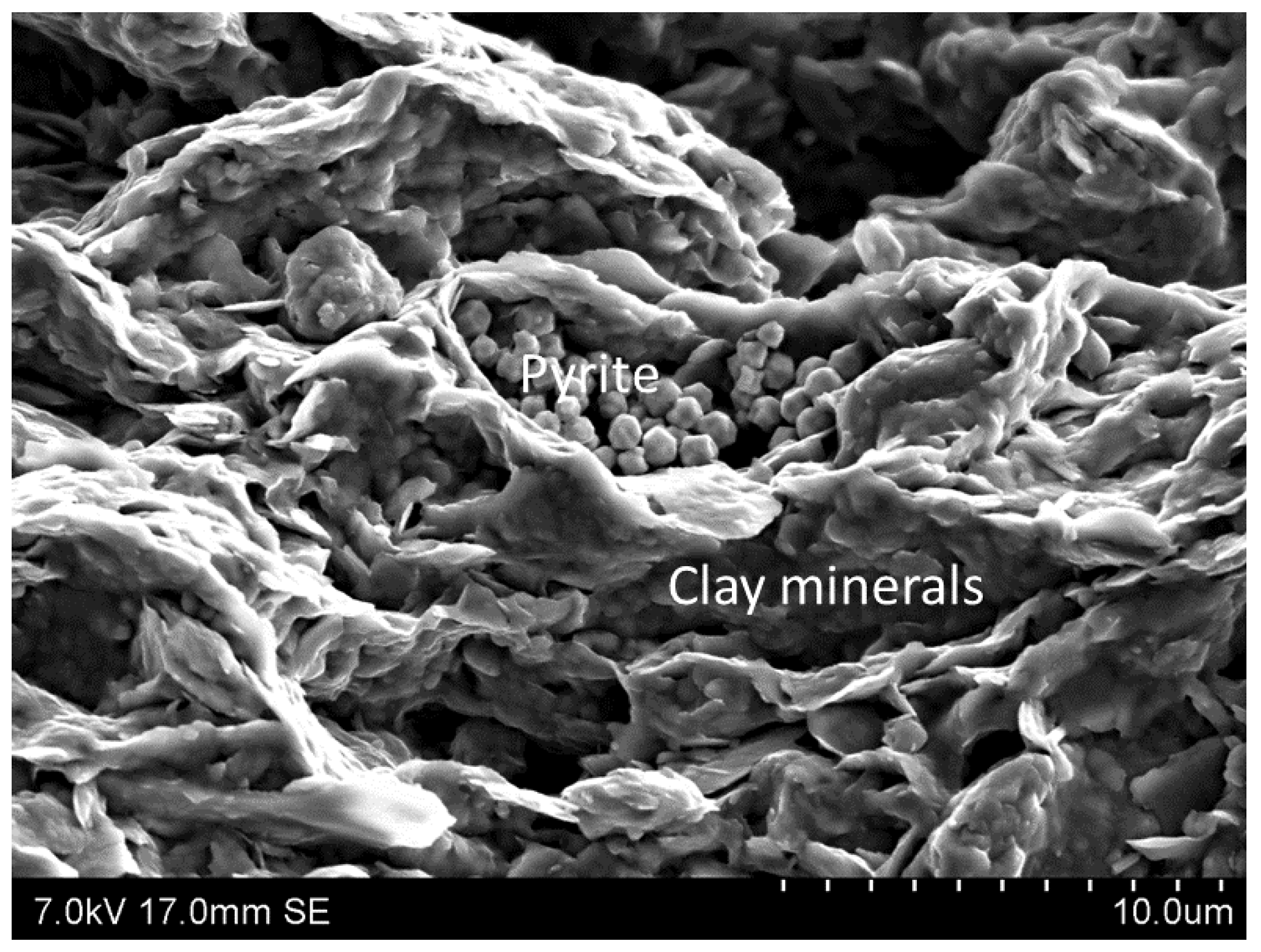 Energies 13 01167 g001