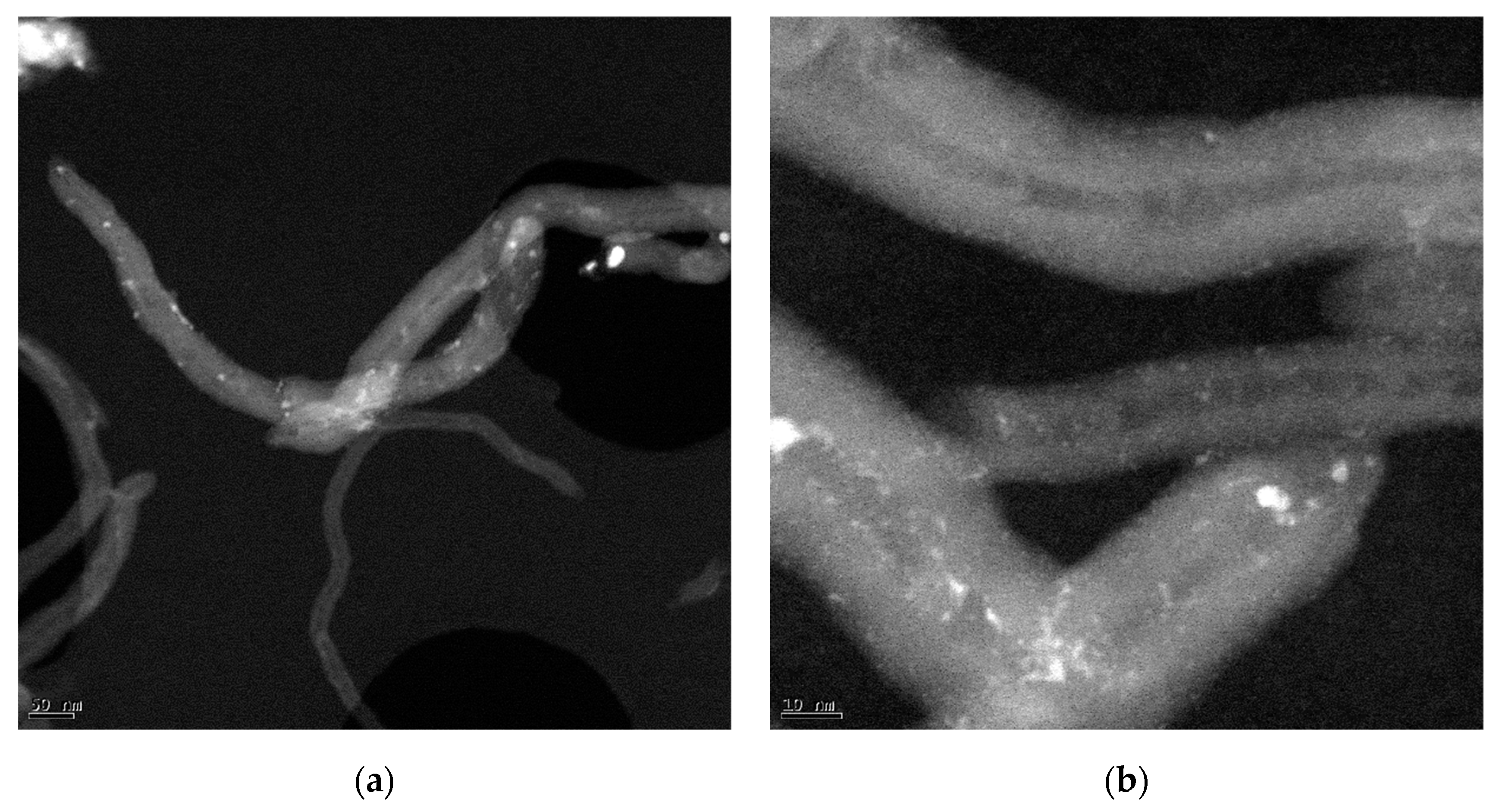 Energies 13 01189 g005