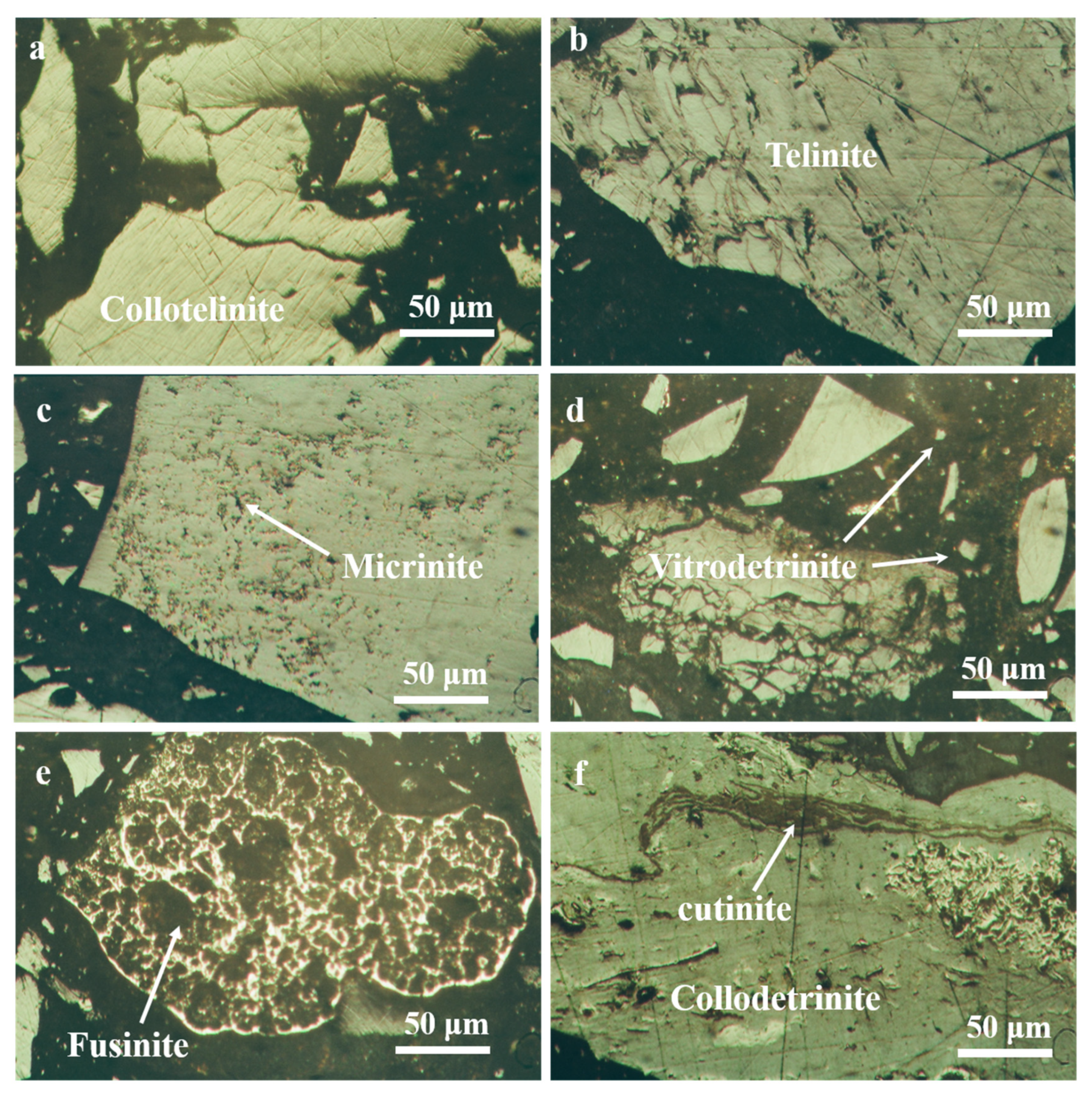 Energies 13 01196 g002