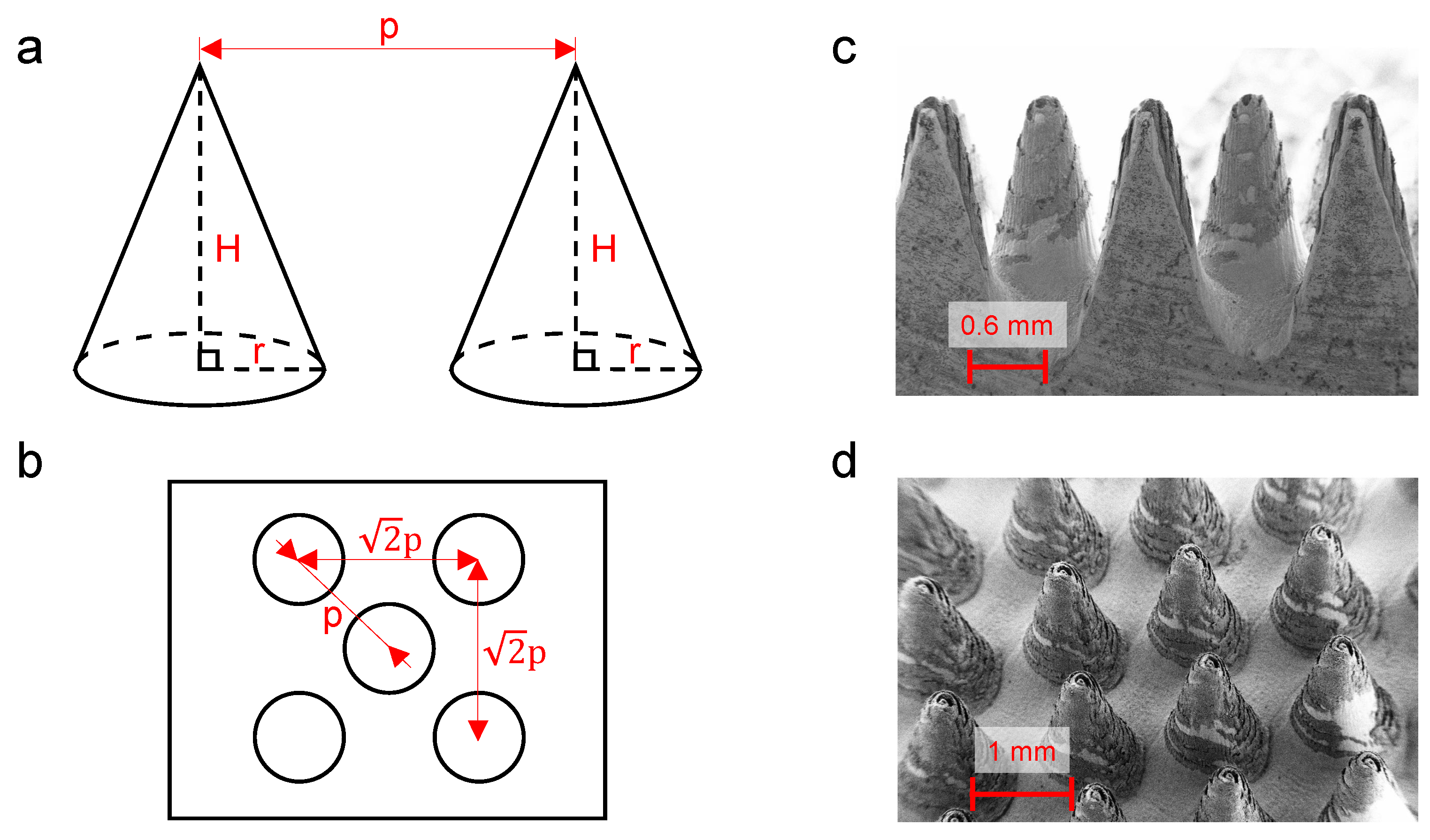 Energies 13 01360 g003