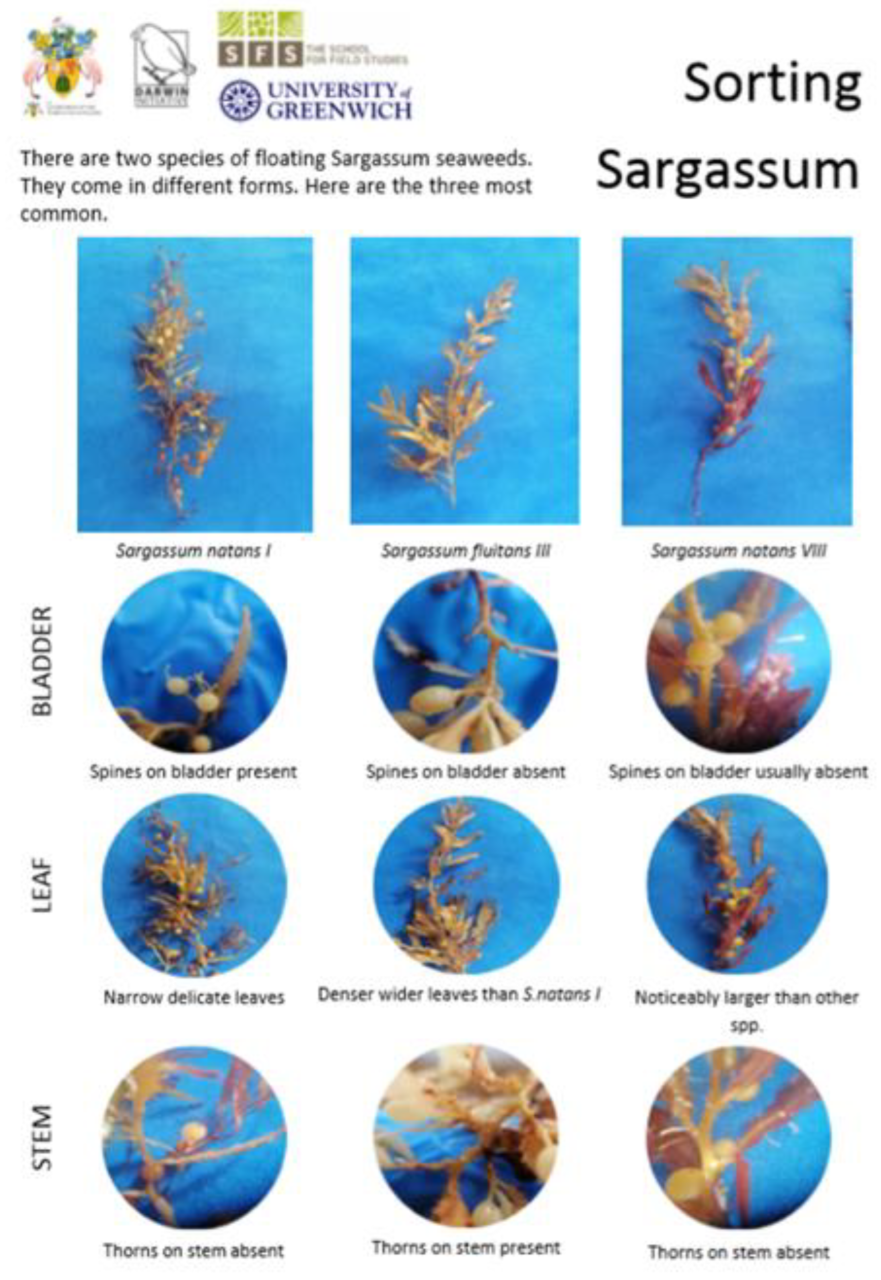 Energies 13 01523 g001