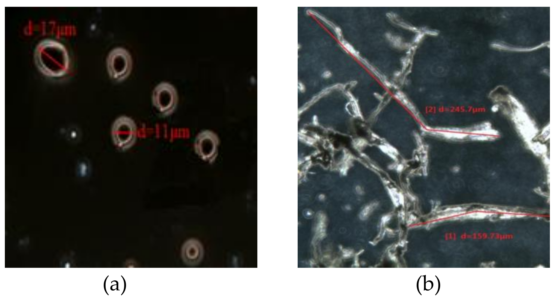 Energies 13 01818 g001