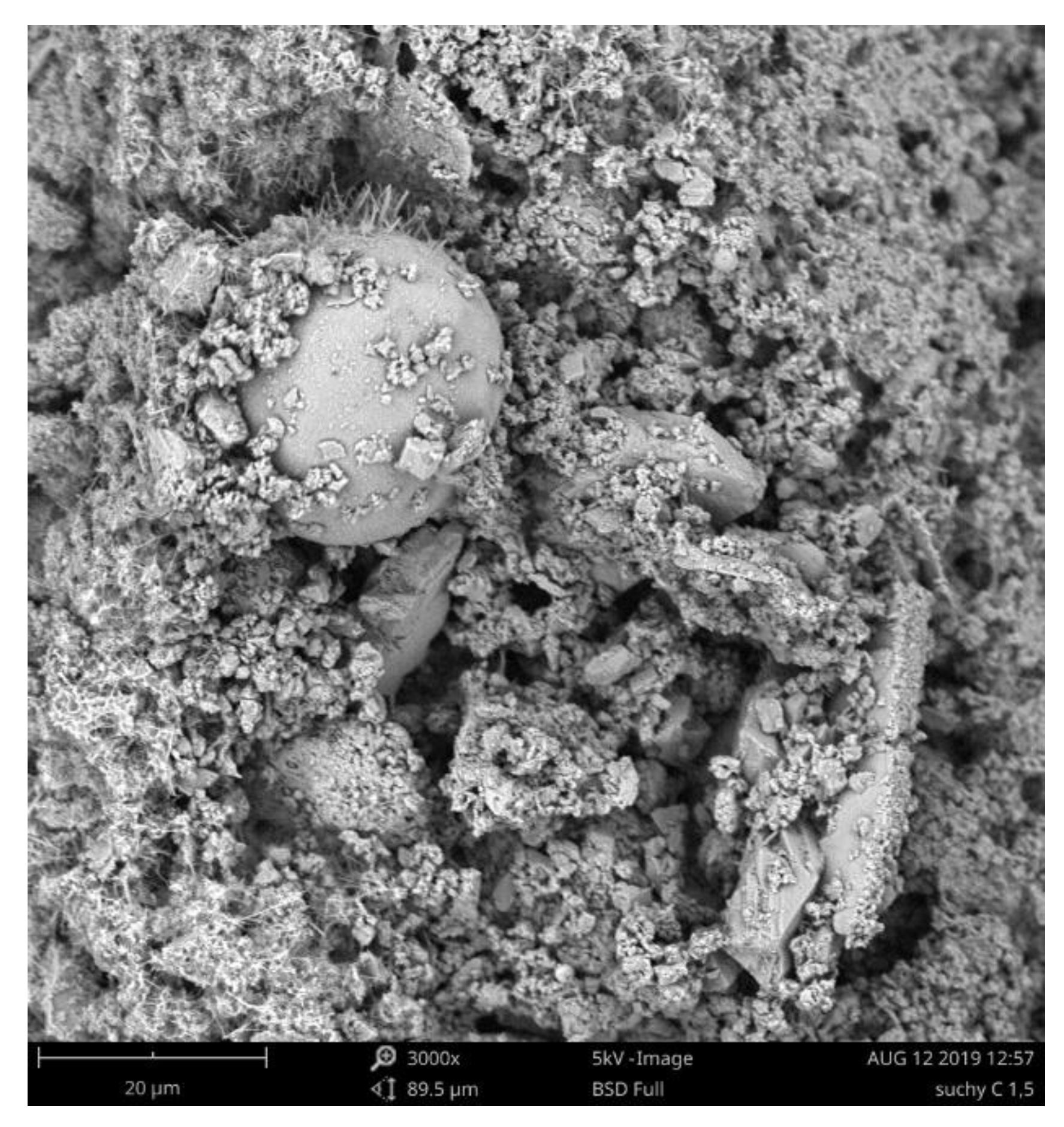 Energies 13 02009 g001 Energies 13 02009 g001