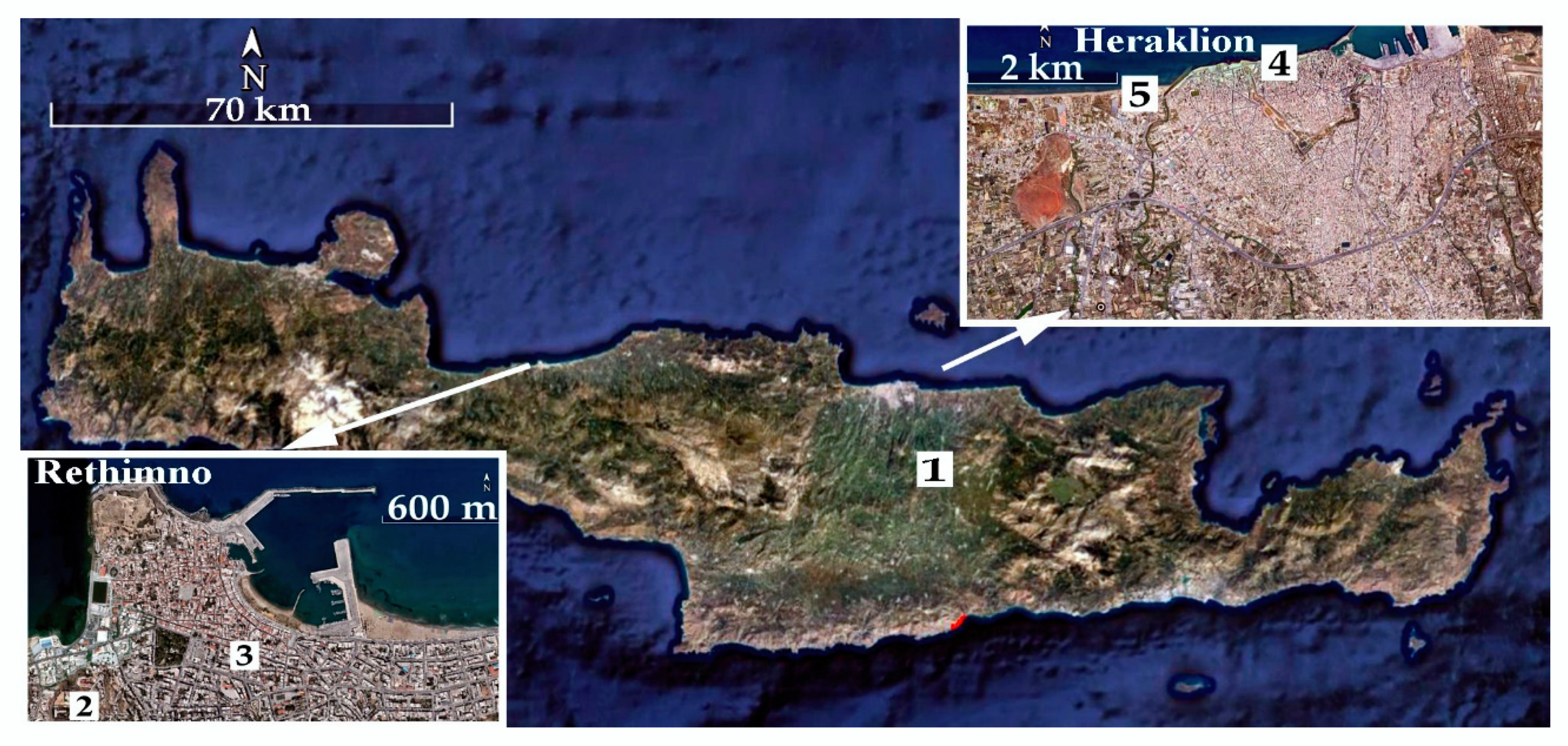 Energies 13 02159 g002