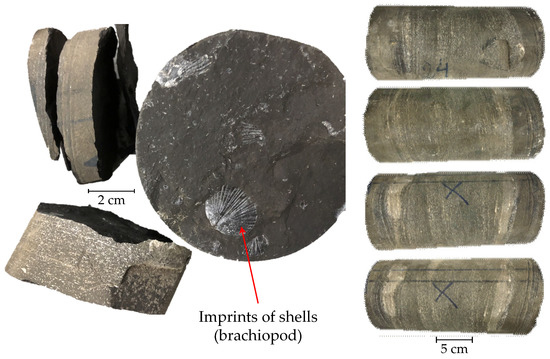 Energies 13 02233 g0a1