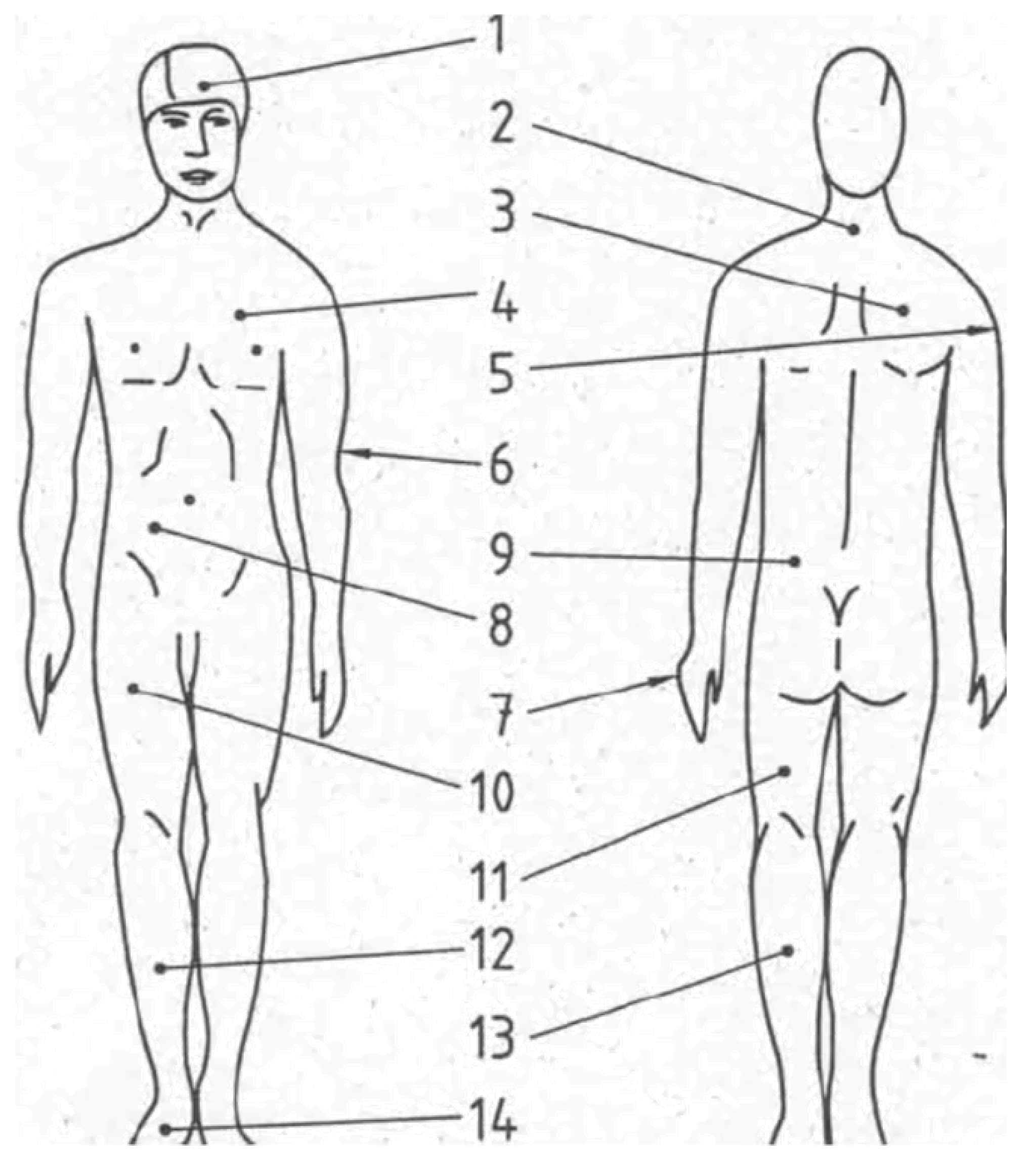 Energies 13 02419 i001