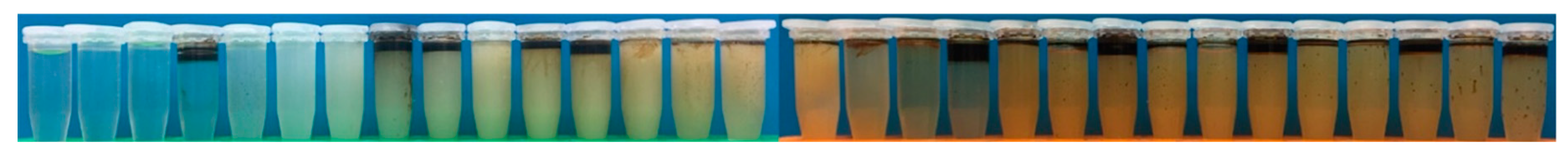 Energies 13 02430 g009