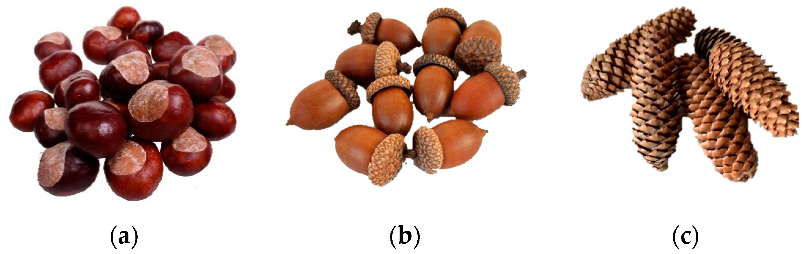 Energies 13 02468 g002