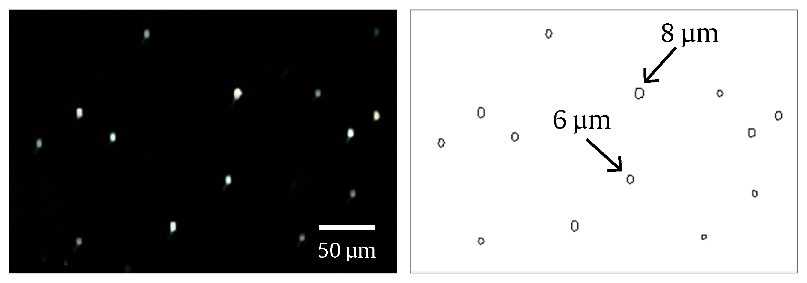 Energies 13 02971 g004