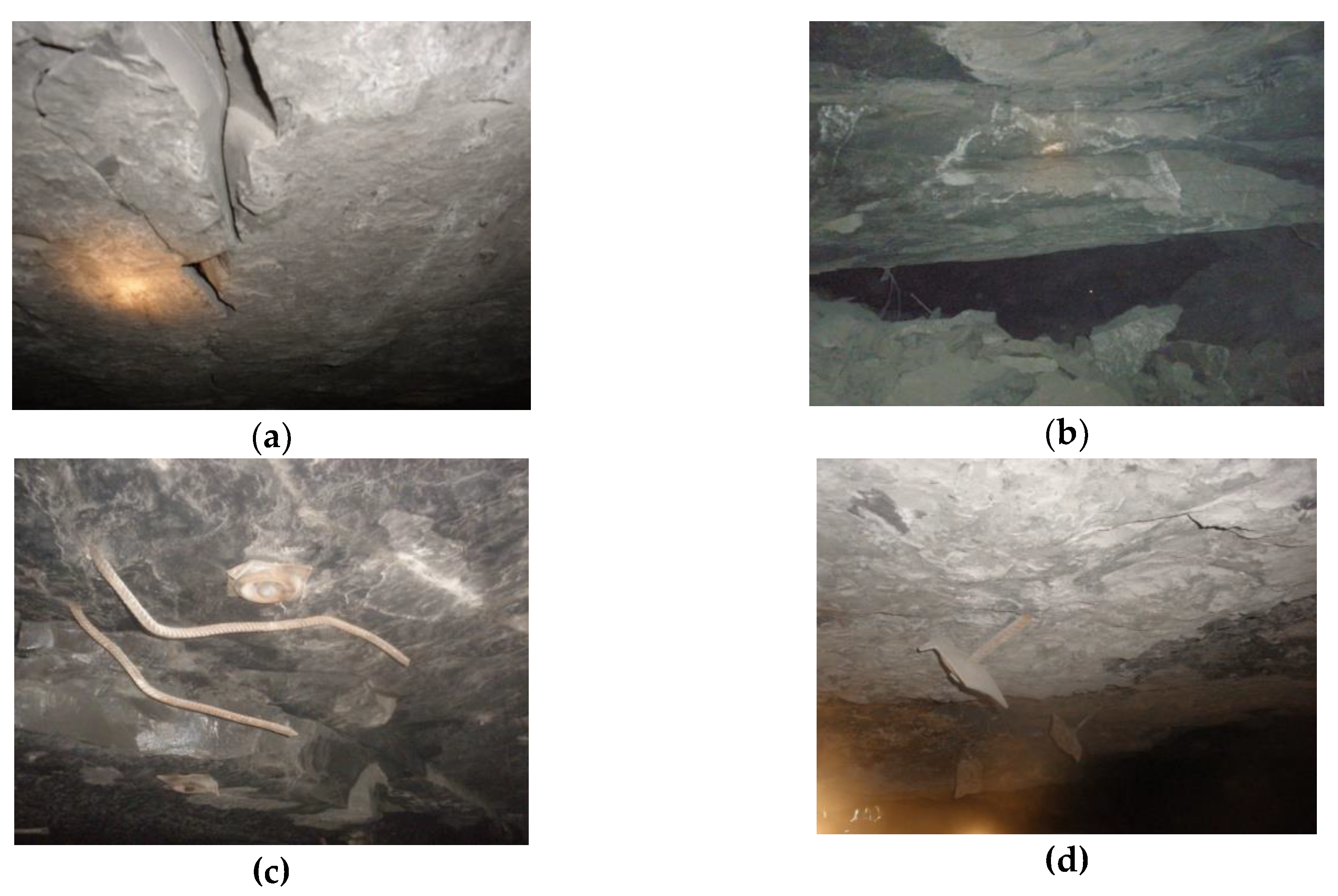 Energies 13 02998 g001