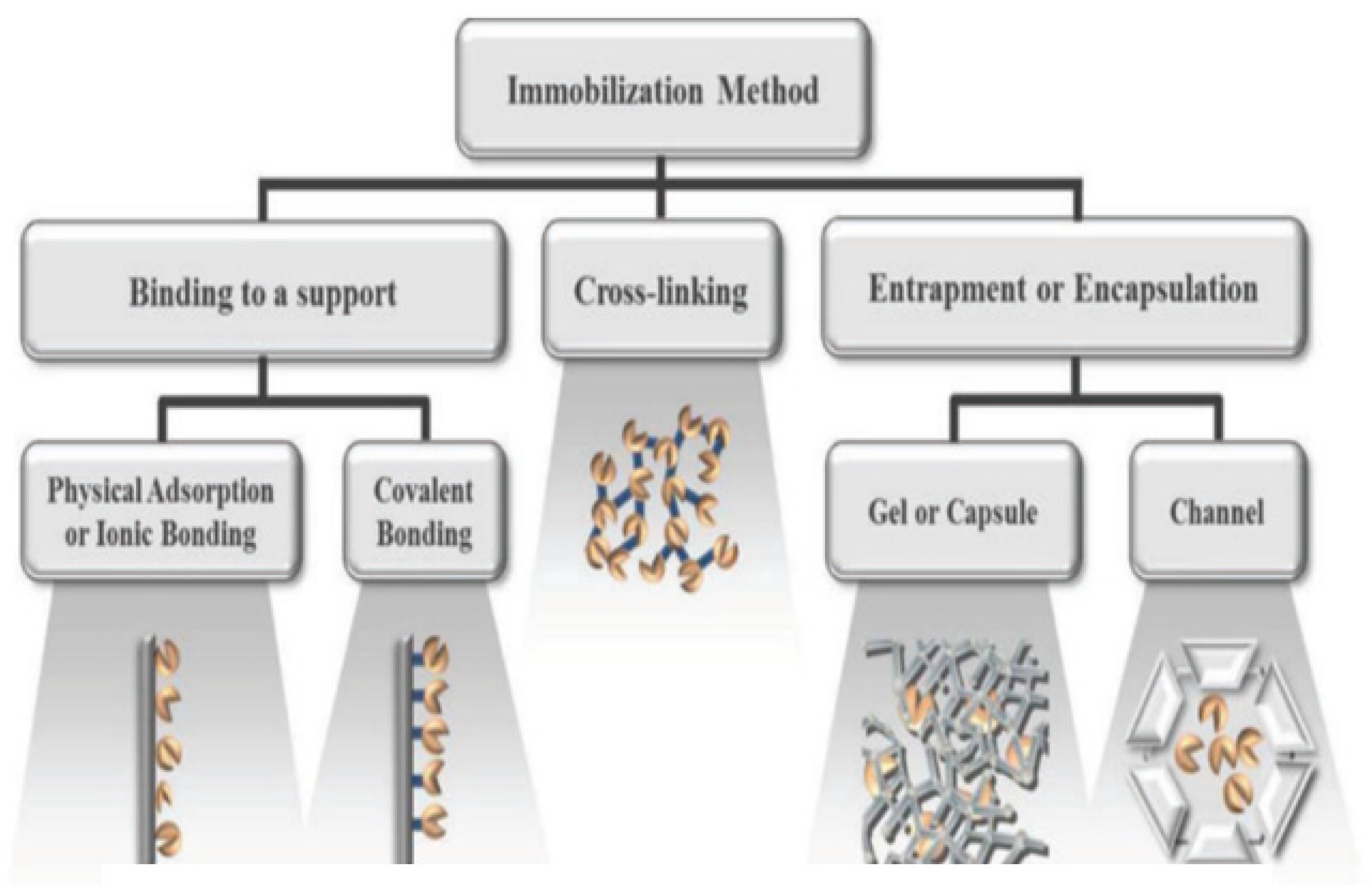 Energies 13 03013 g001
