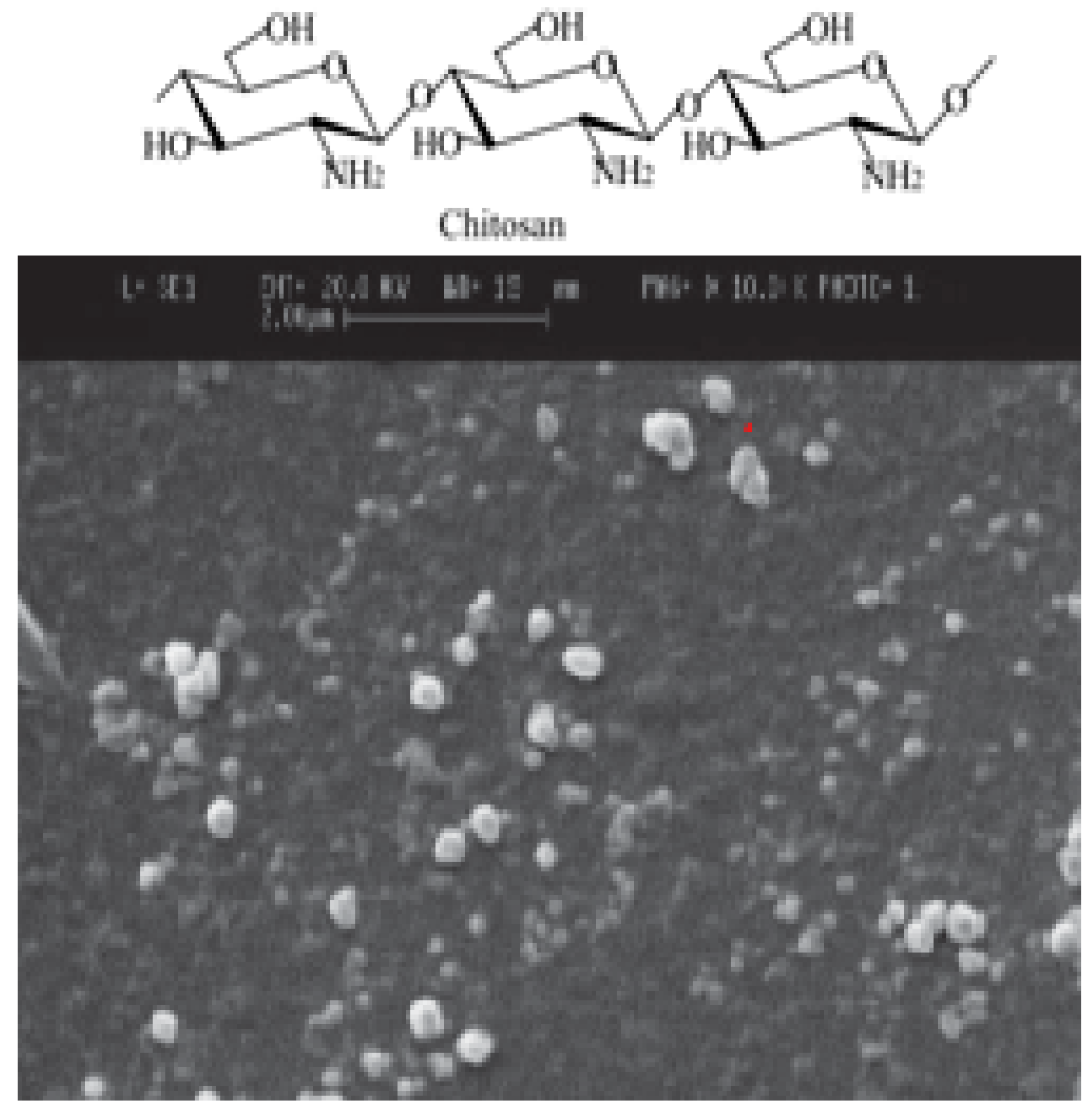 Energies 13 03013 g004