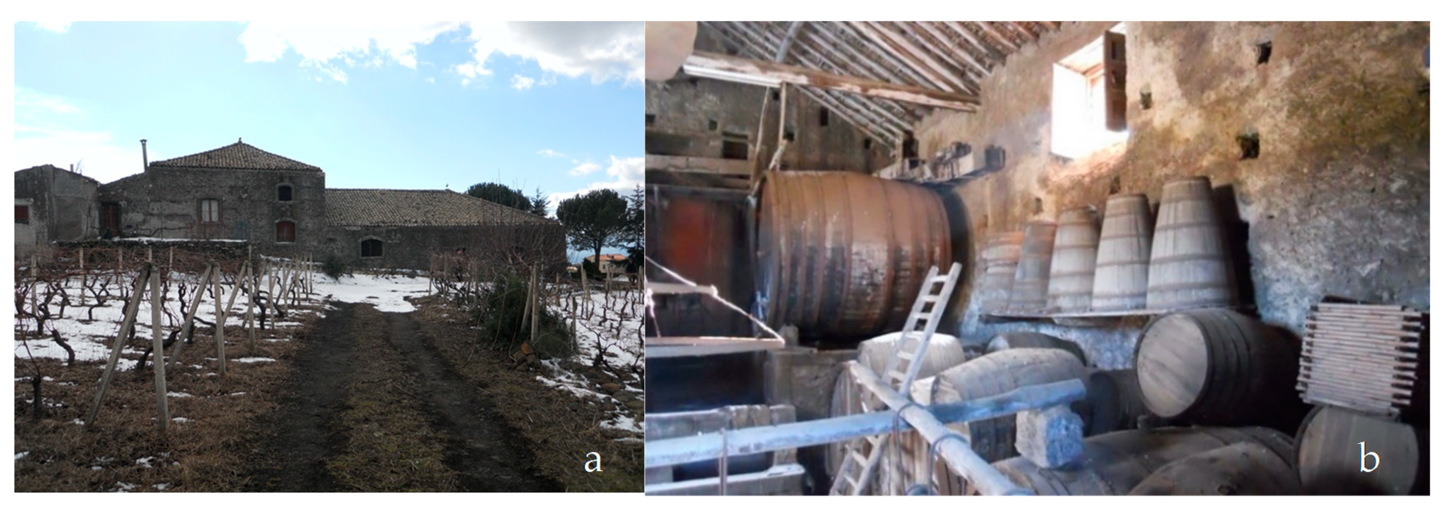 Energies 13 03237 g001 Energies 13 03237 g001