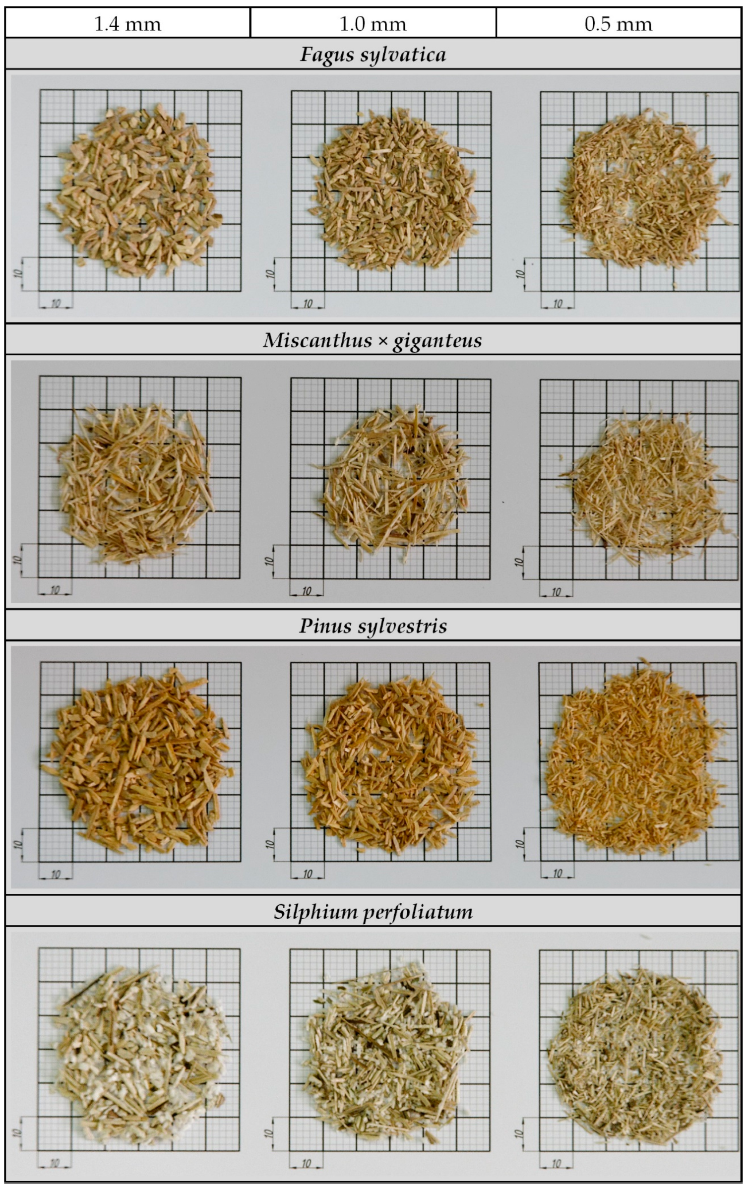 Energies 13 03392 g011