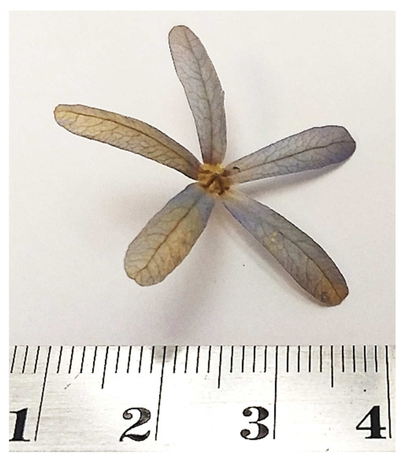 Energies 13 03515 g001