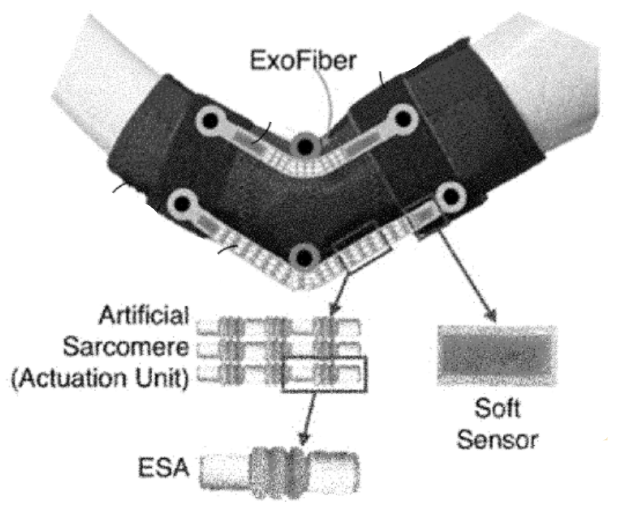 Energies 13 03572 g006