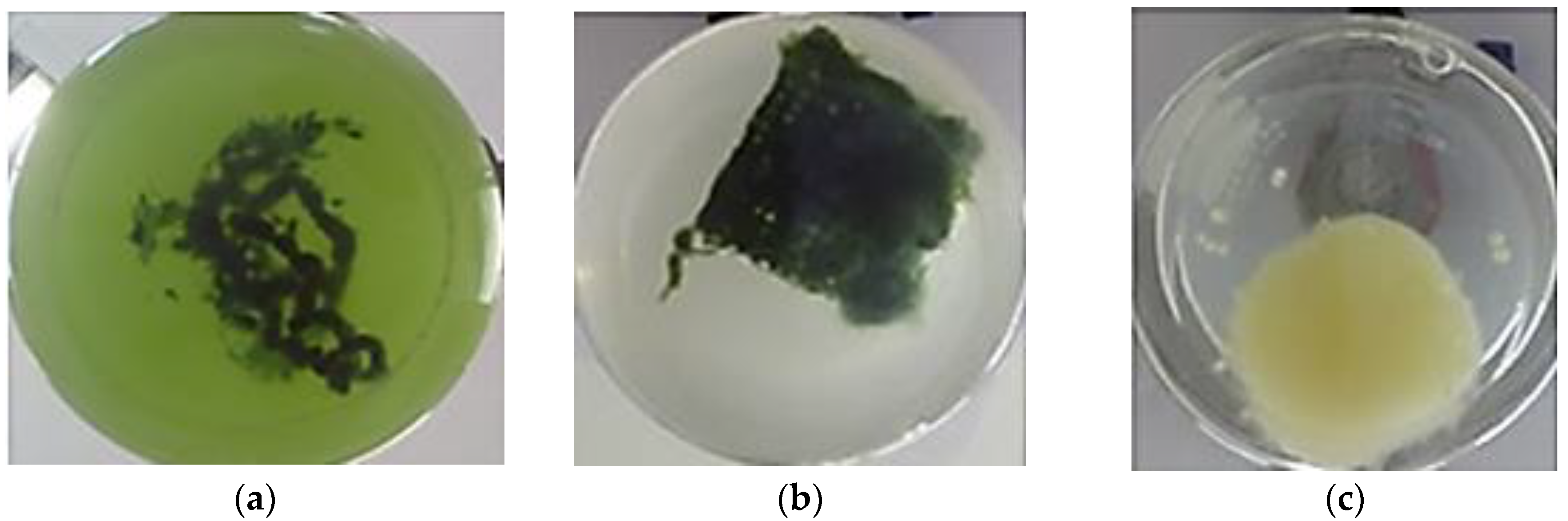 Energies 13 03648 g002 Energies 13 03648 g002