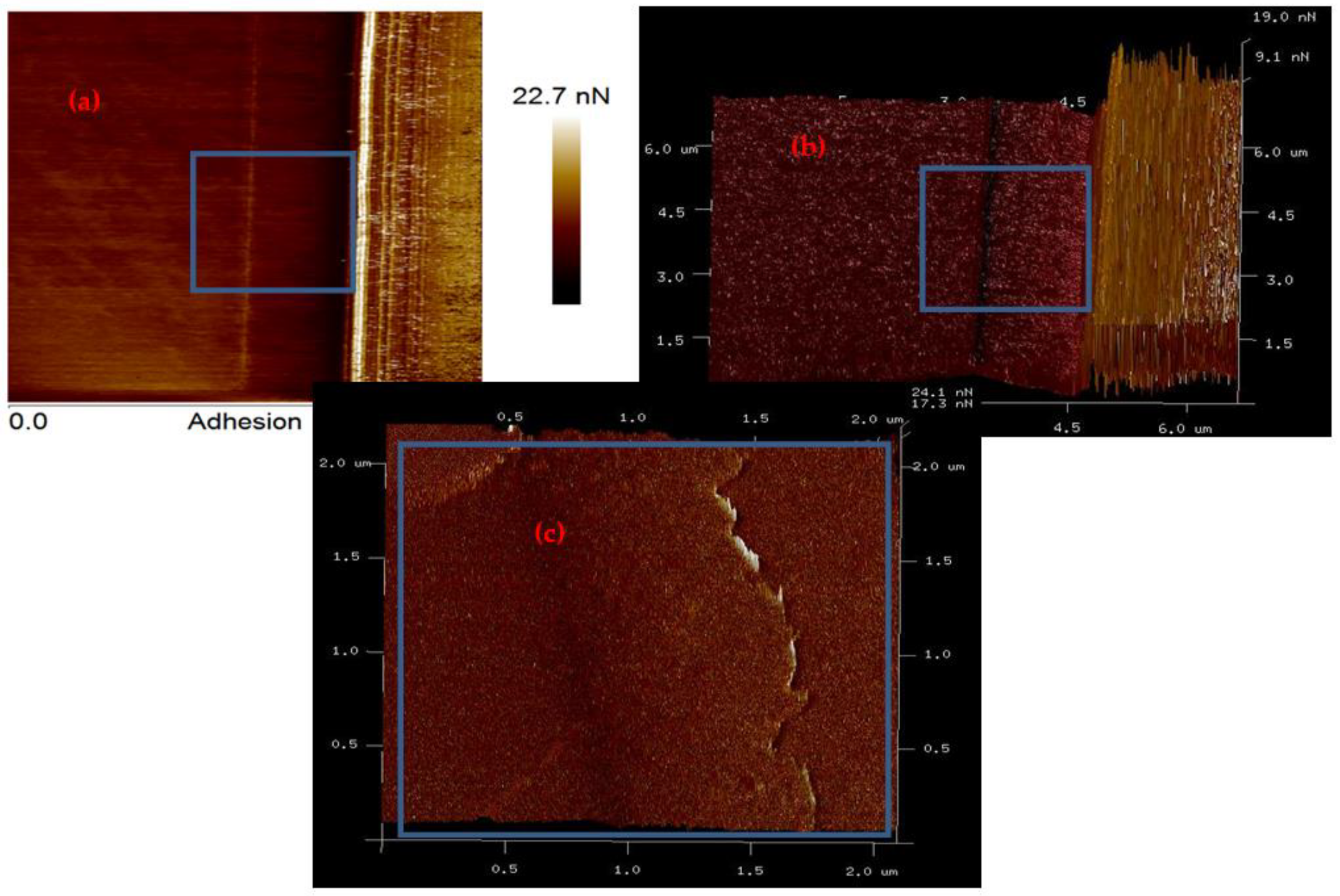 Energies 13 04126 g006