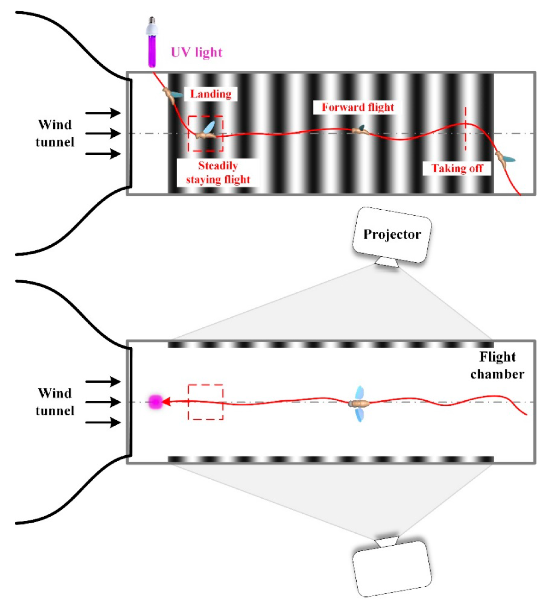 Energies 13 04271 g002