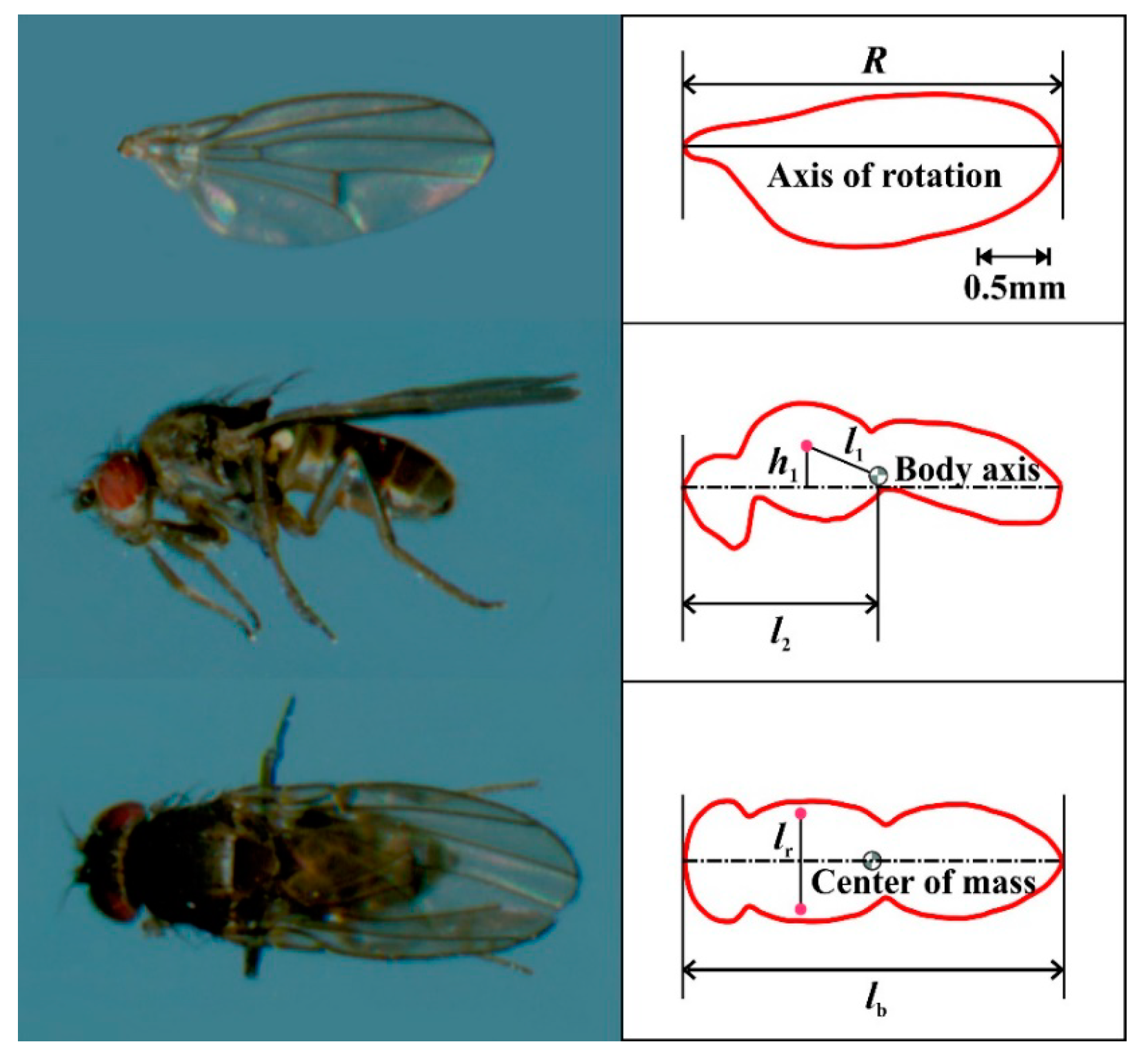 Energies 13 04271 g003