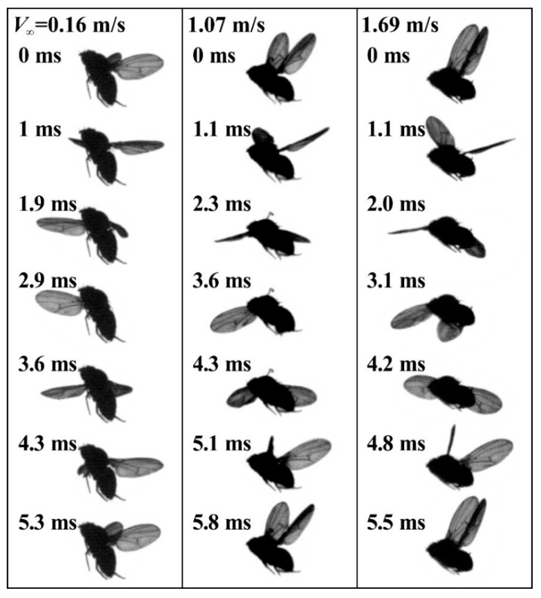 Energies 13 04271 g008