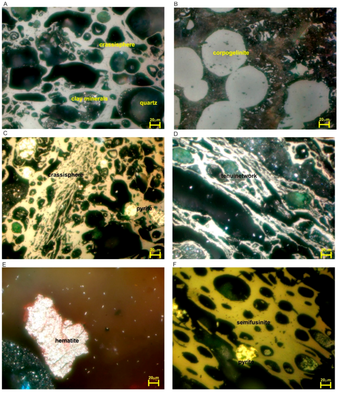 Energies 13 04374 g007