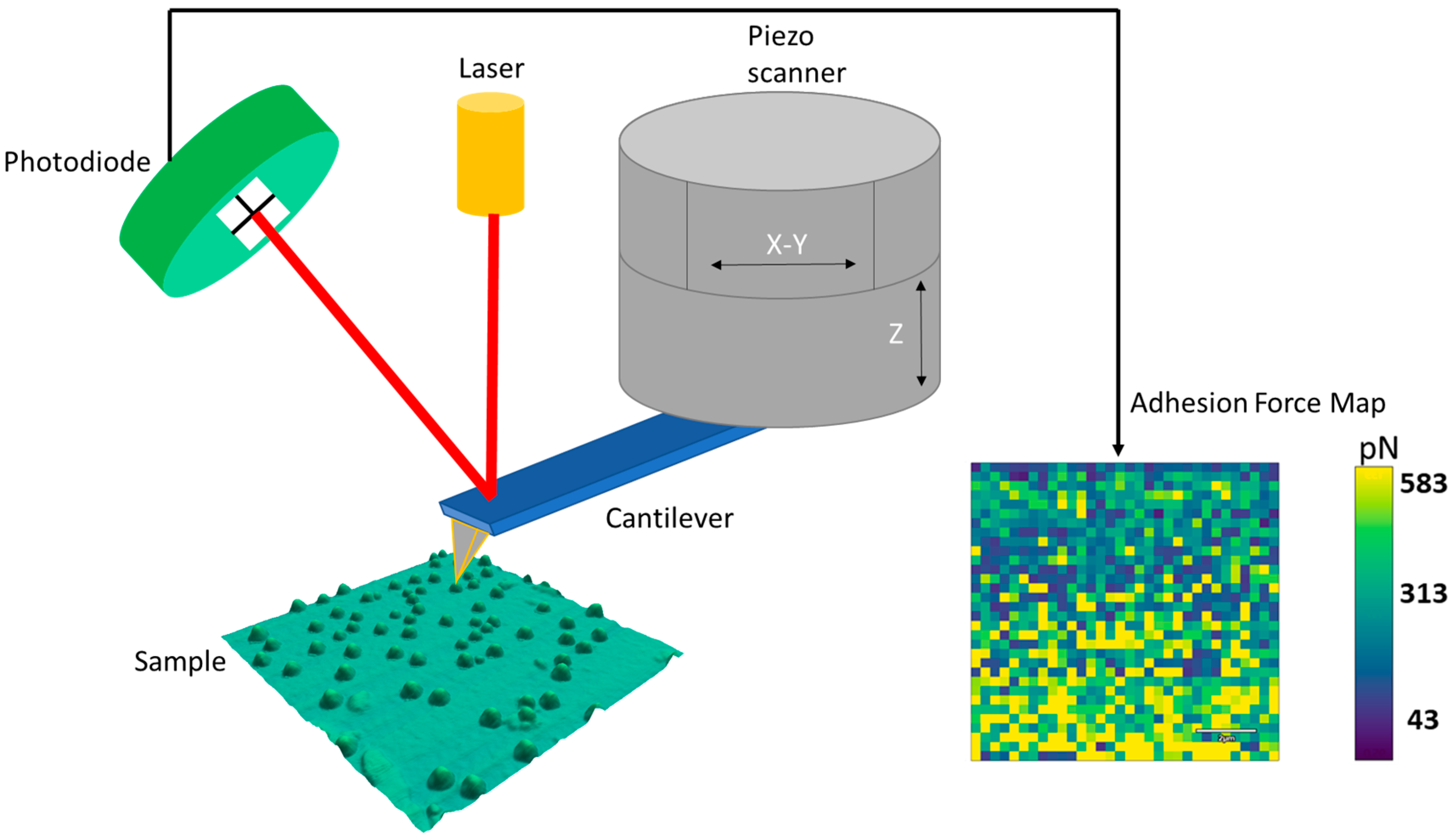 Energies 13 04443 g003
