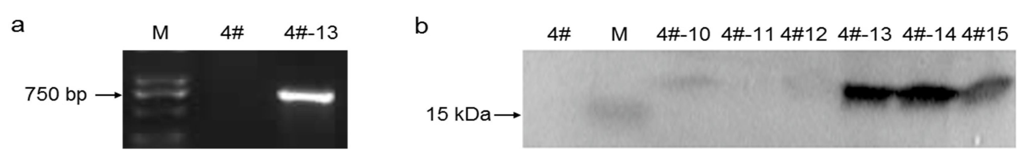Energies 13 04446 g002