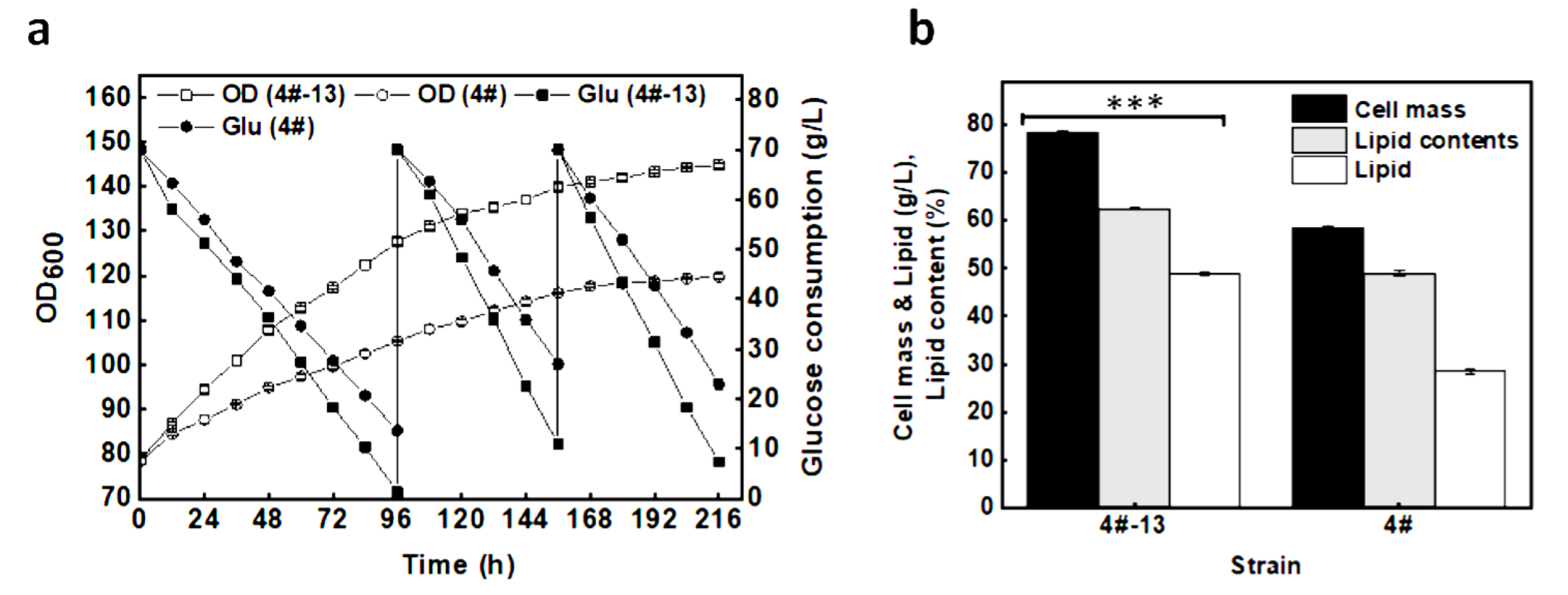 Energies 13 04446 g006
