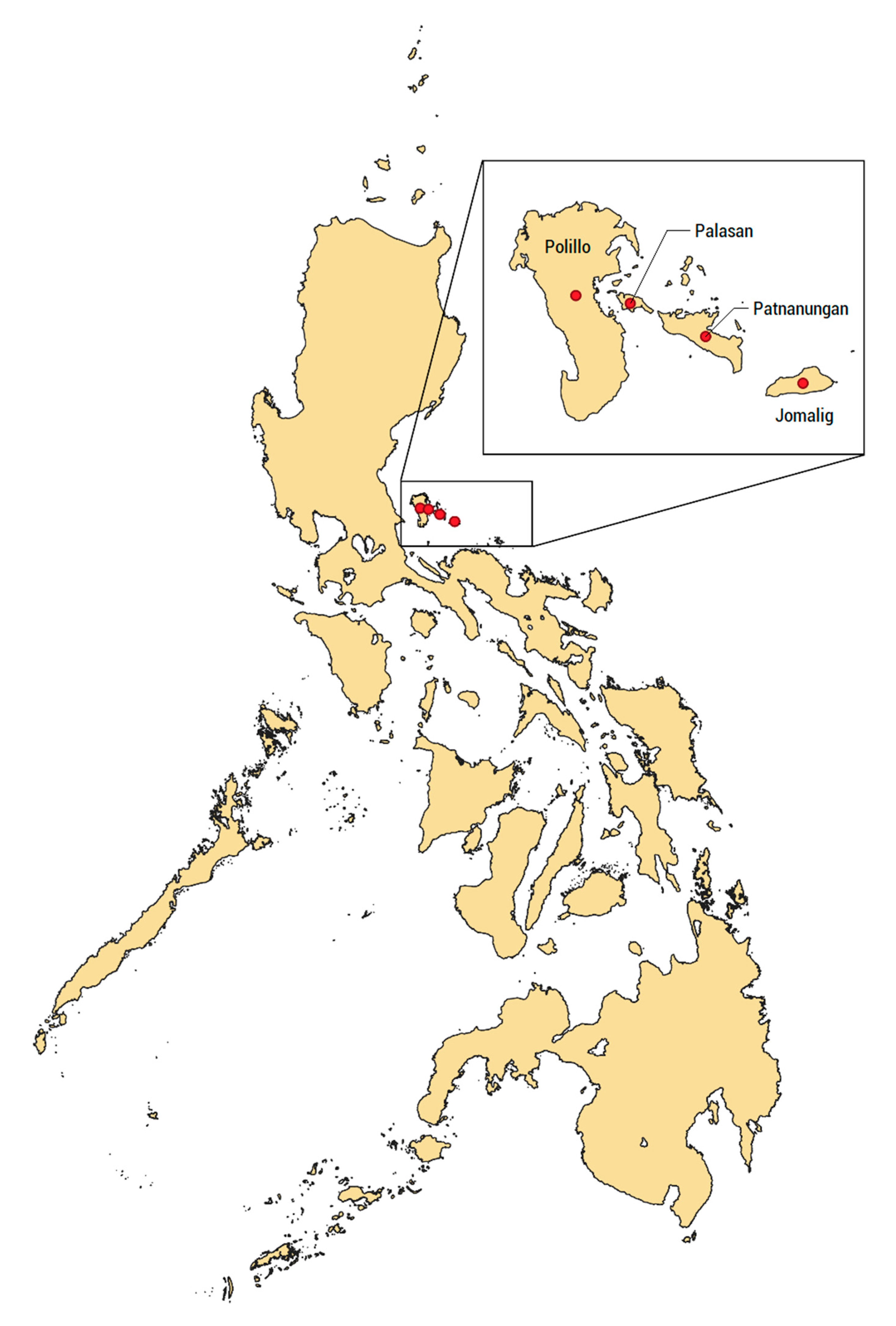 Energies 13 04454 g002