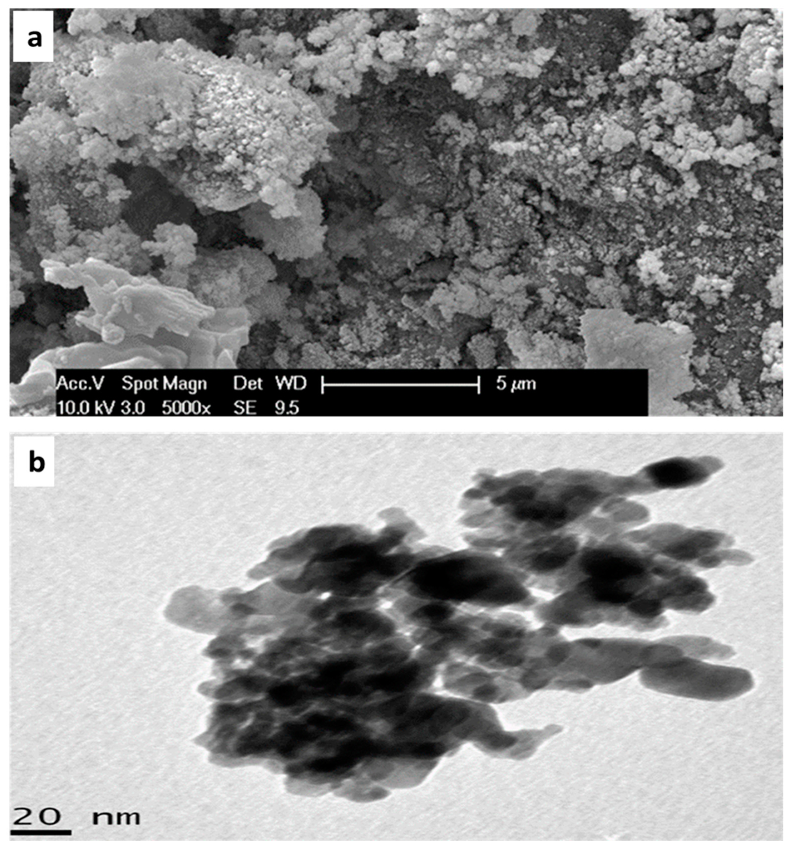 Energies 13 04553 g004