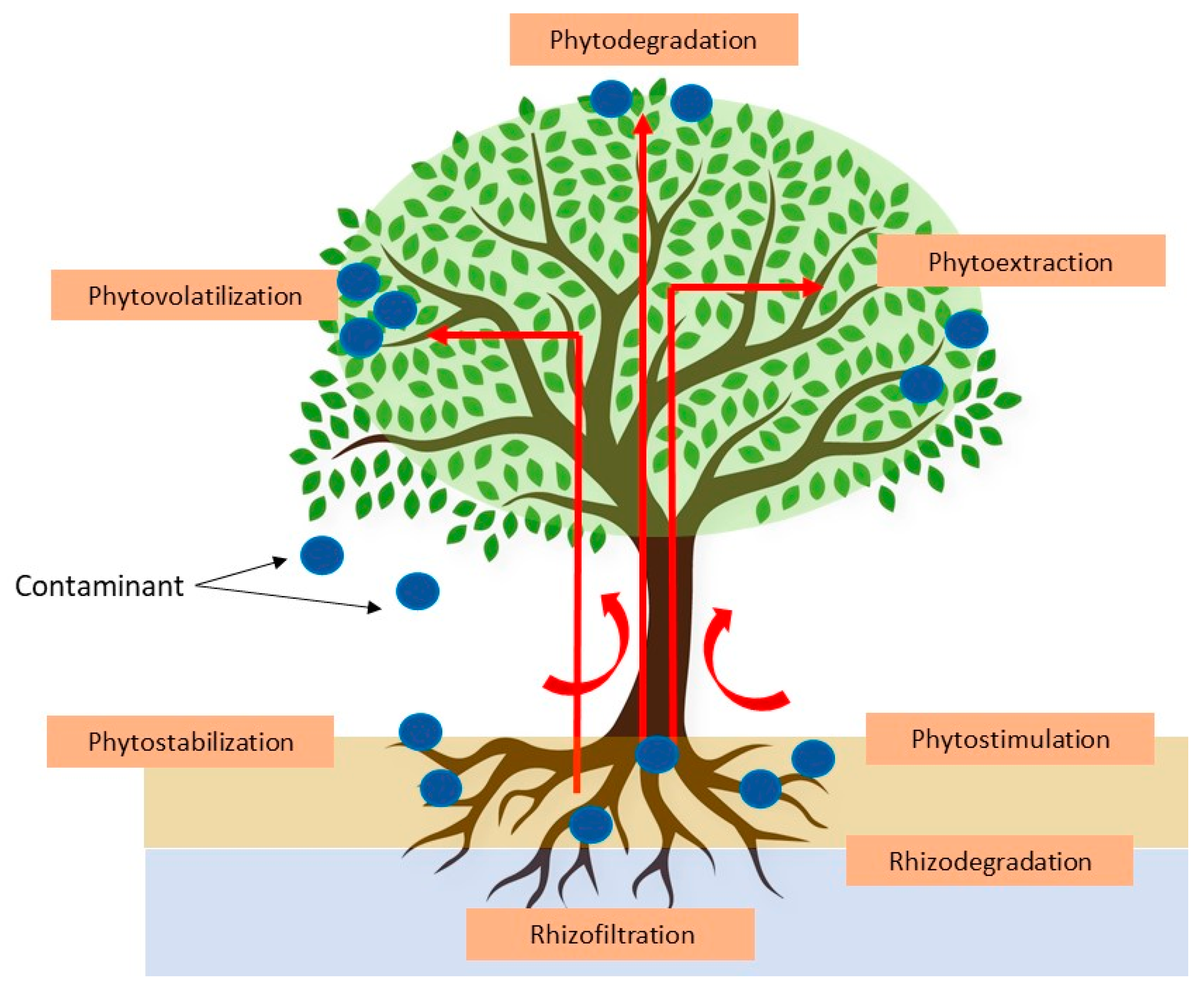 Energies 13 04664 g007