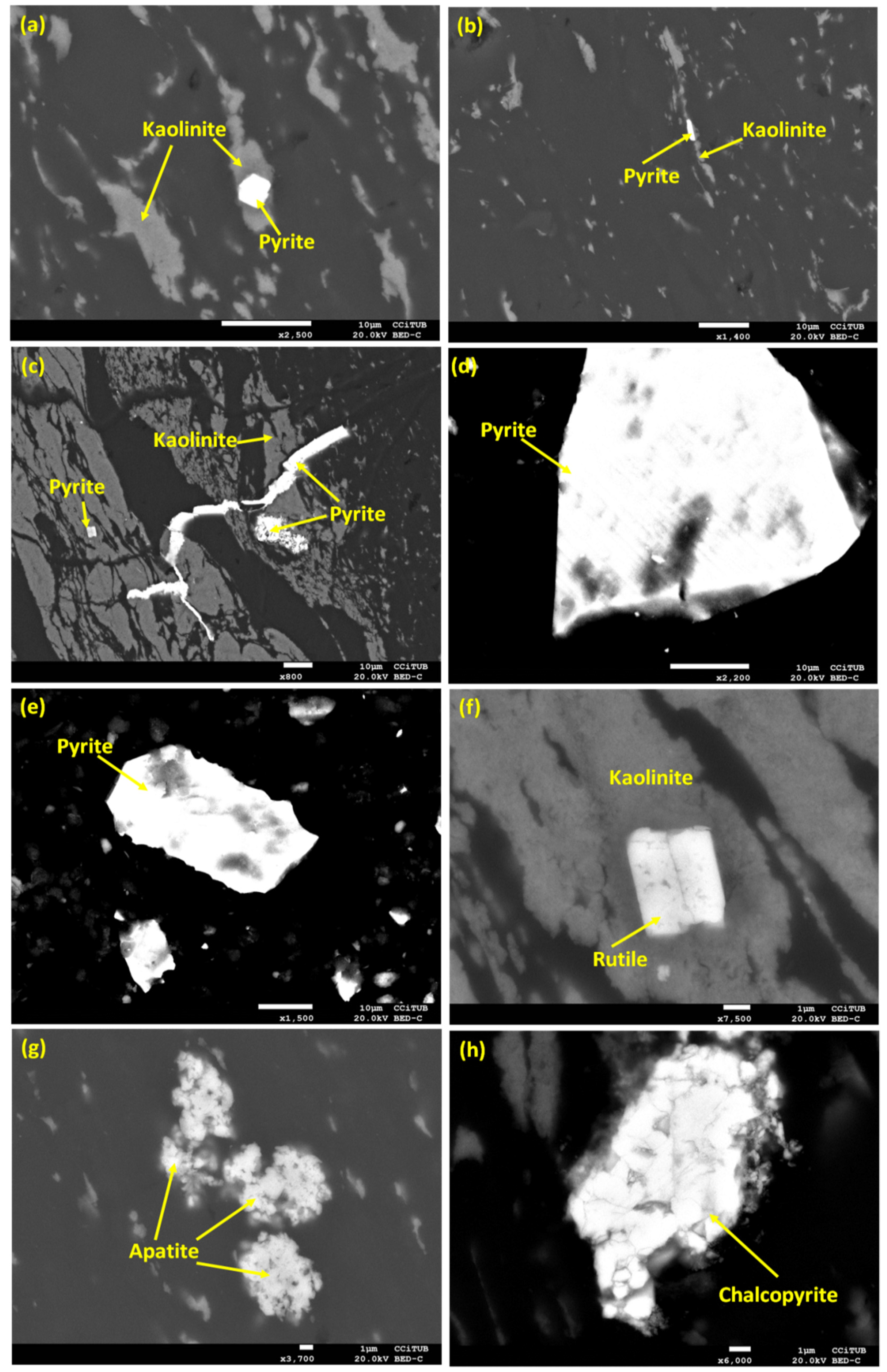 Energies 13 04818 g004