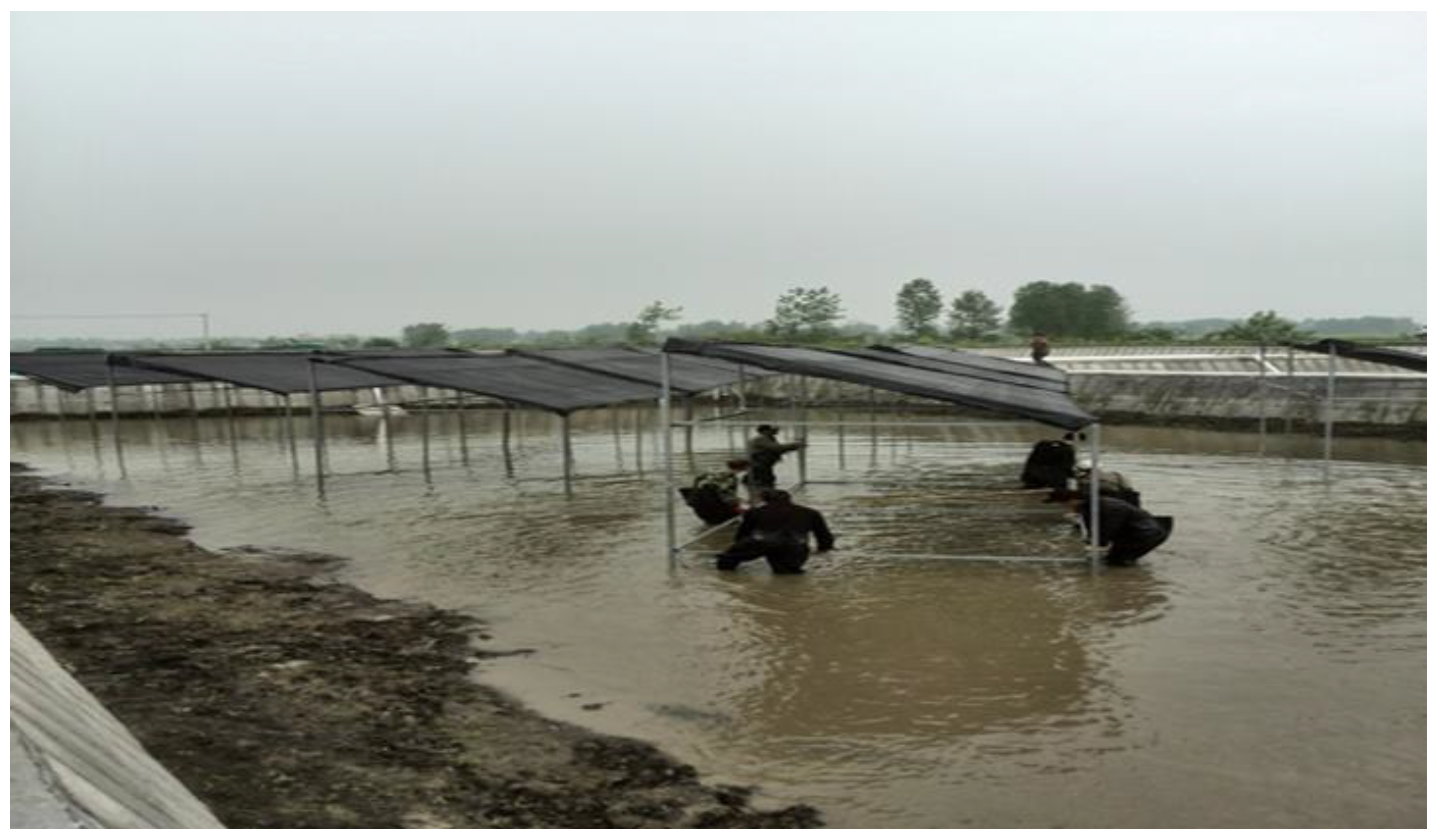 Energies 13 04822 g001