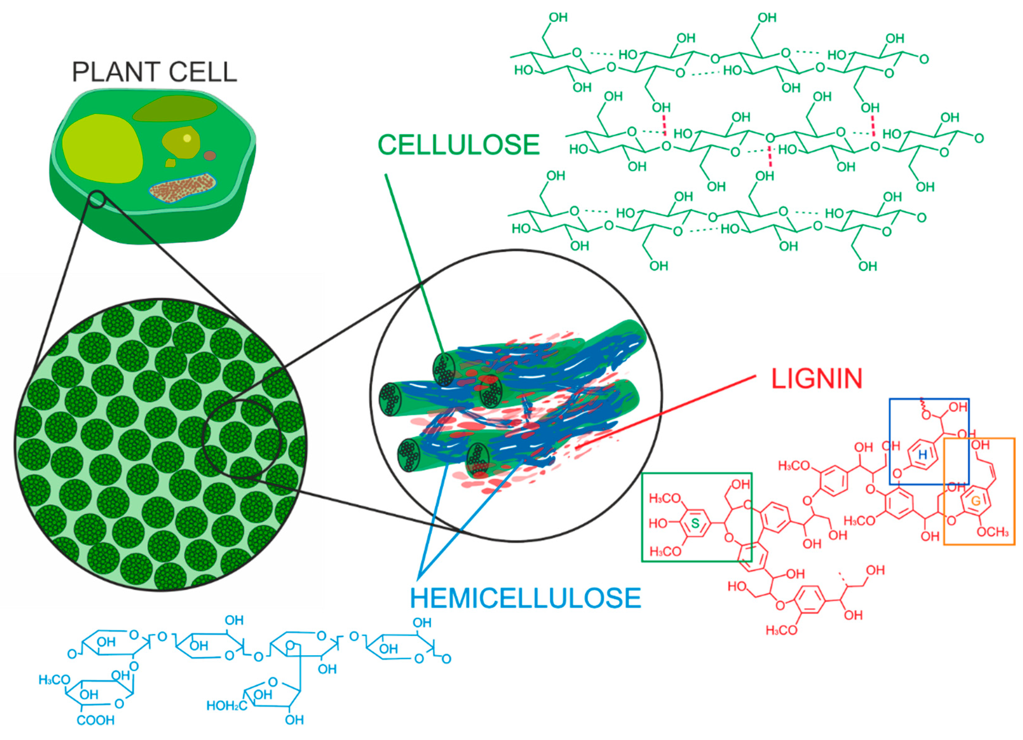 Energies 13 04864 g001