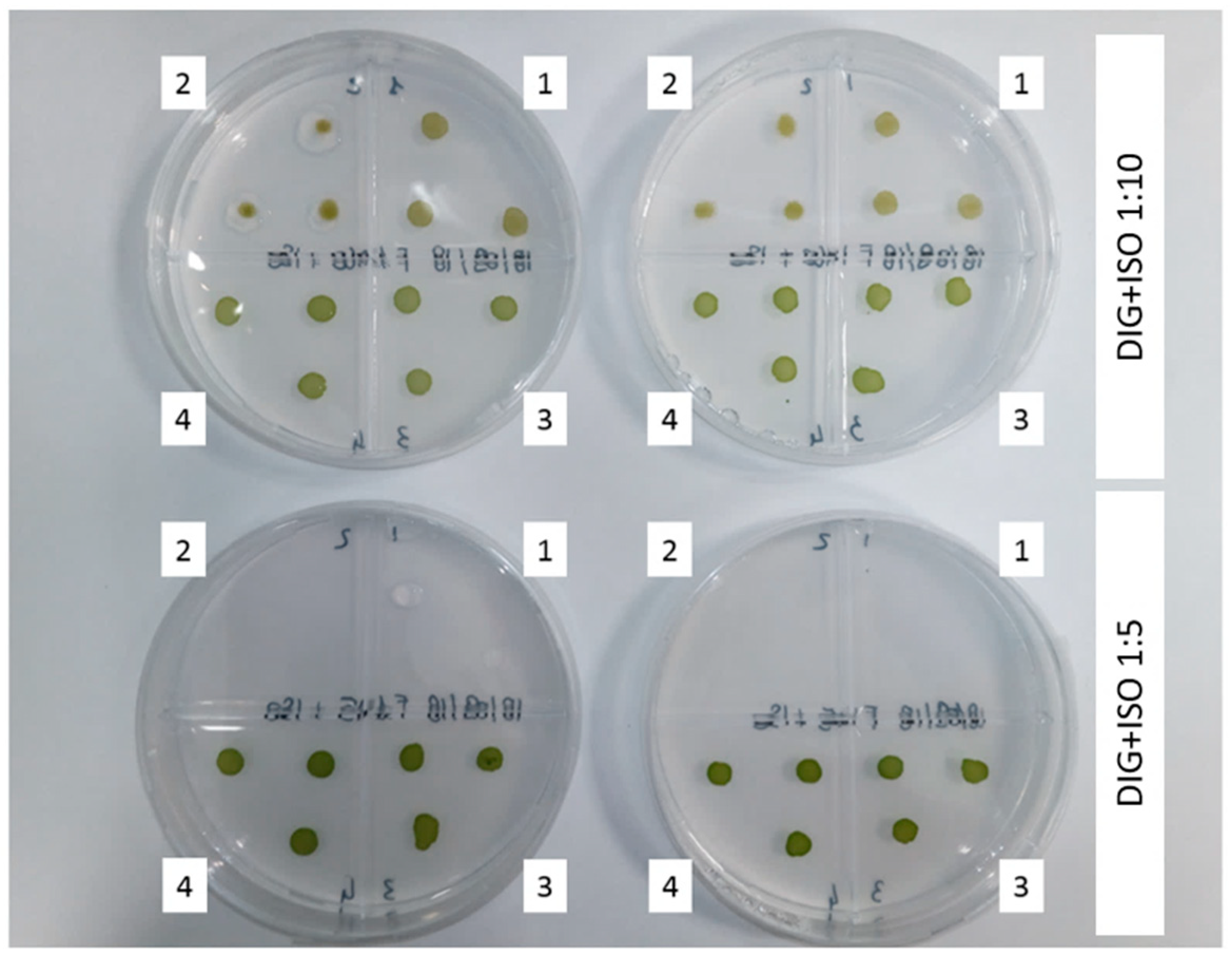 Energies 13 04880 g001 Energies 13 04880 g001