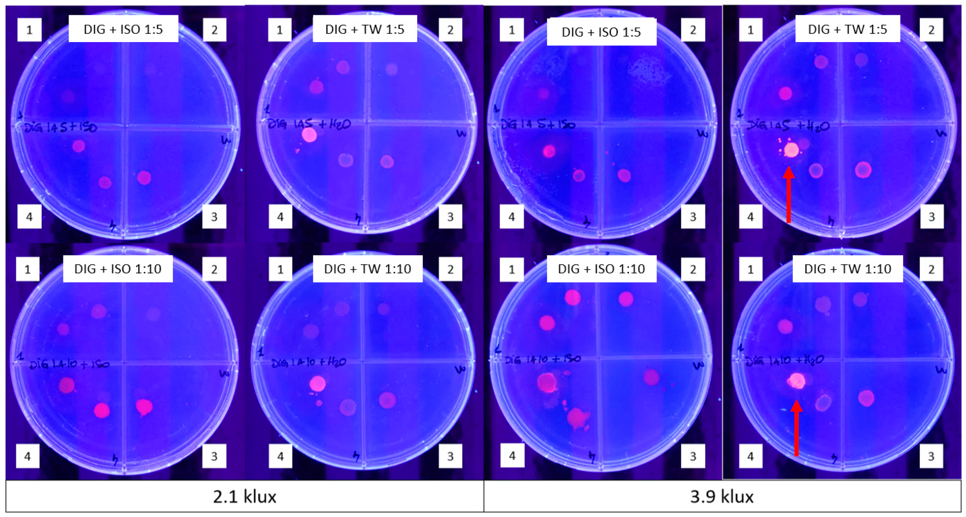 Energies 13 04880 g002 Energies 13 04880 g002