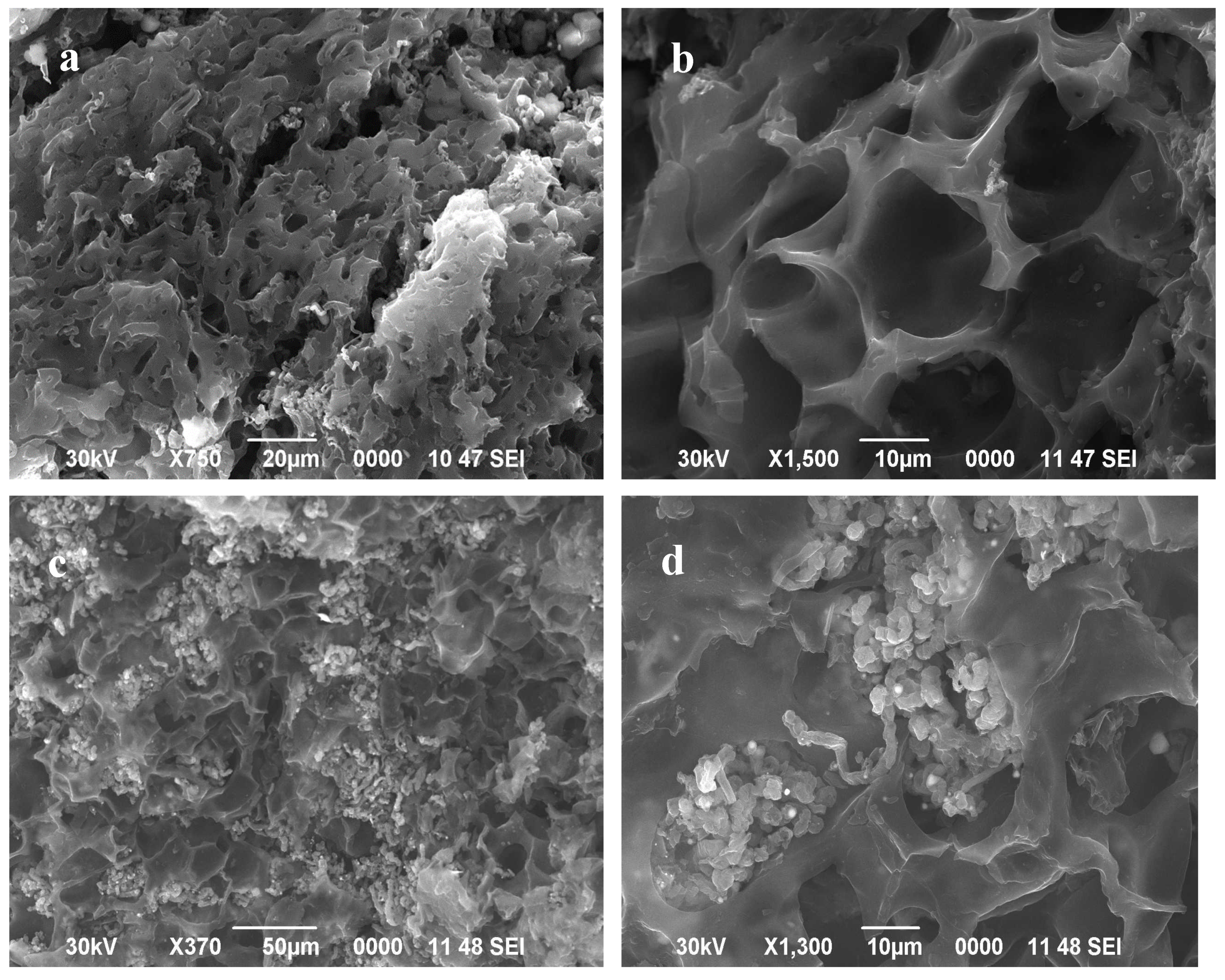 Energies 13 04943 g003