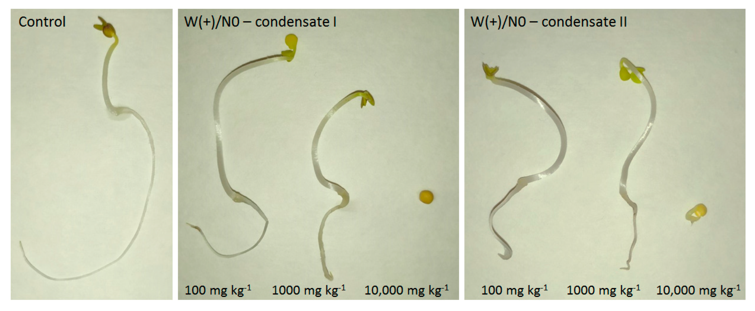 Energies 13 04960 g012