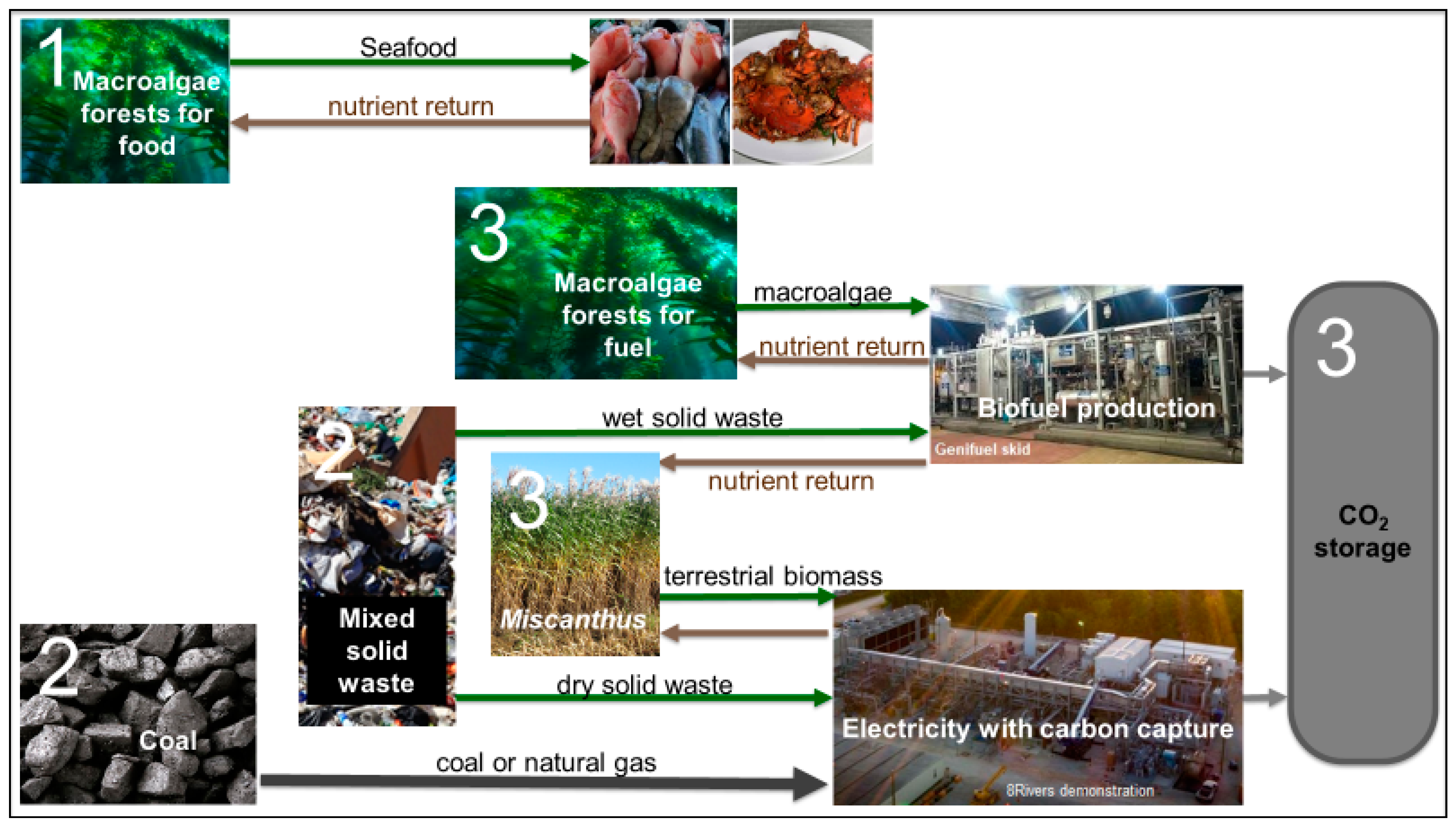 Energies 13 04972 g001