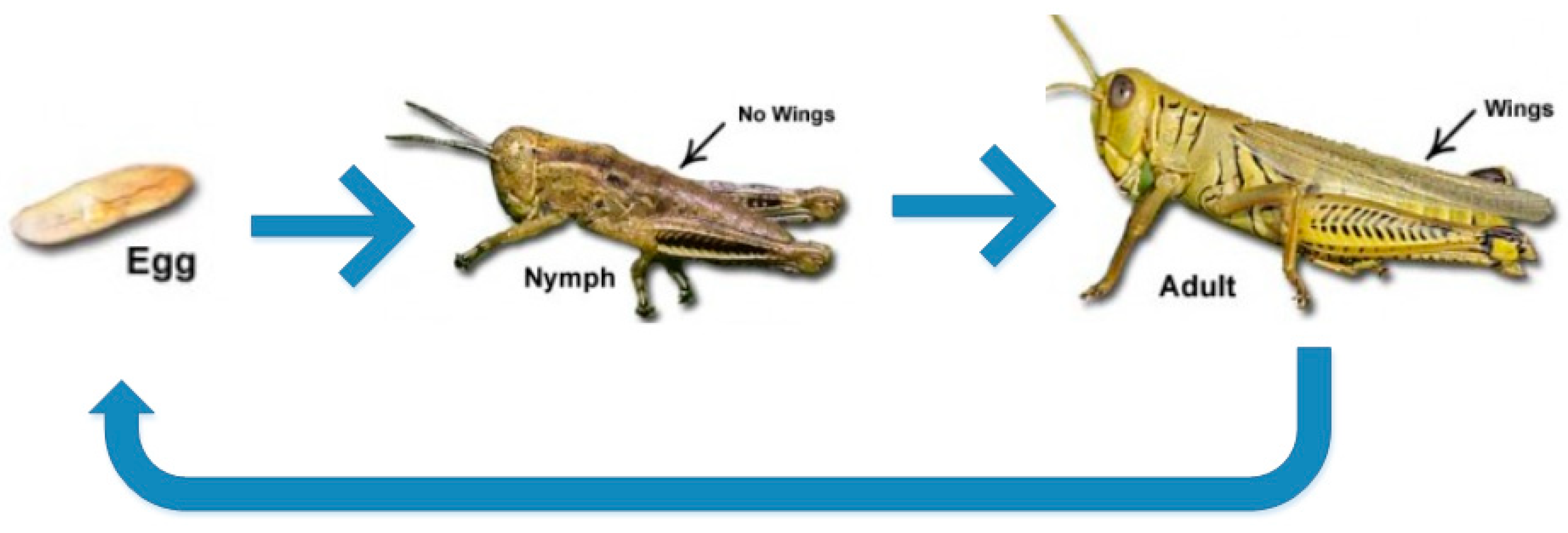 Energies 13 05000 g003