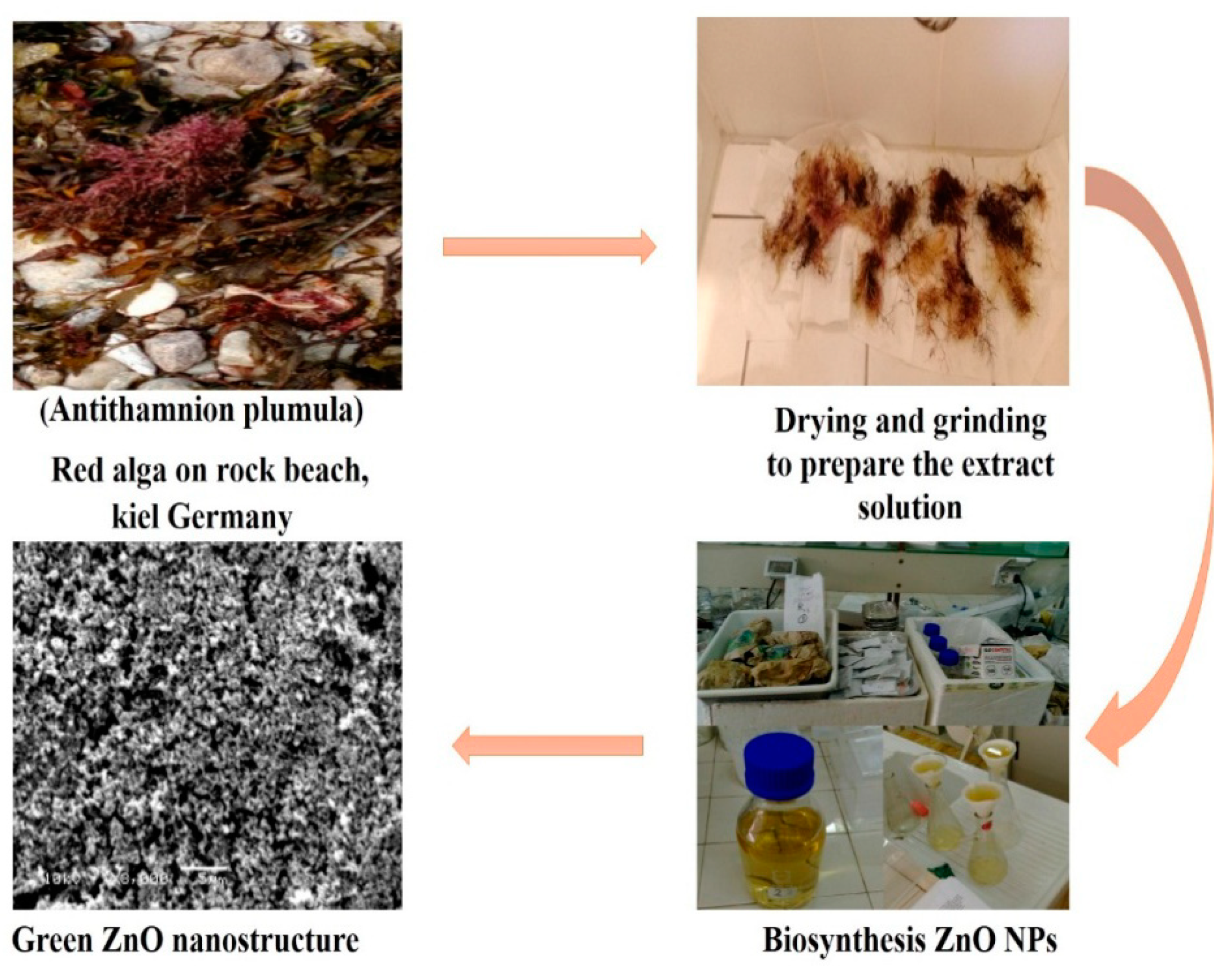 Energies 13 05001 g002