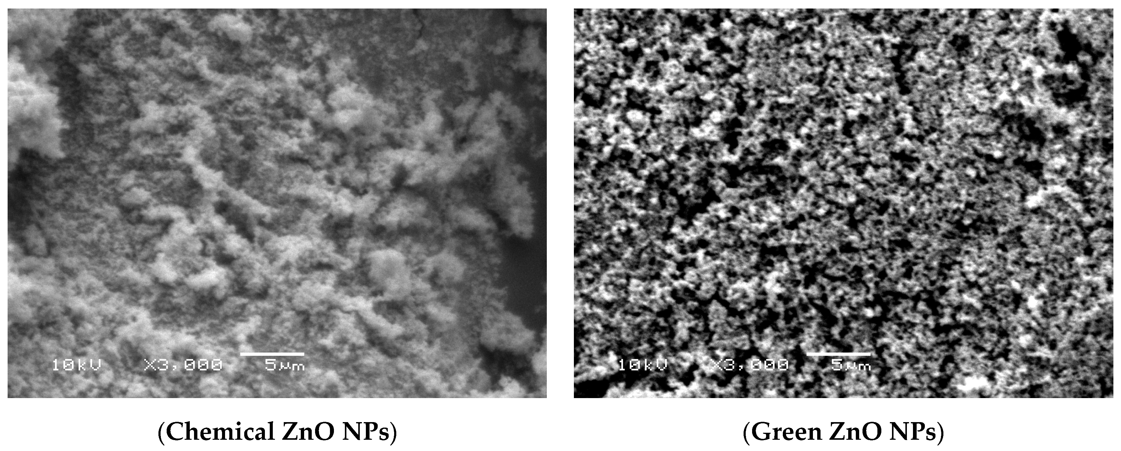 Energies 13 05001 g010