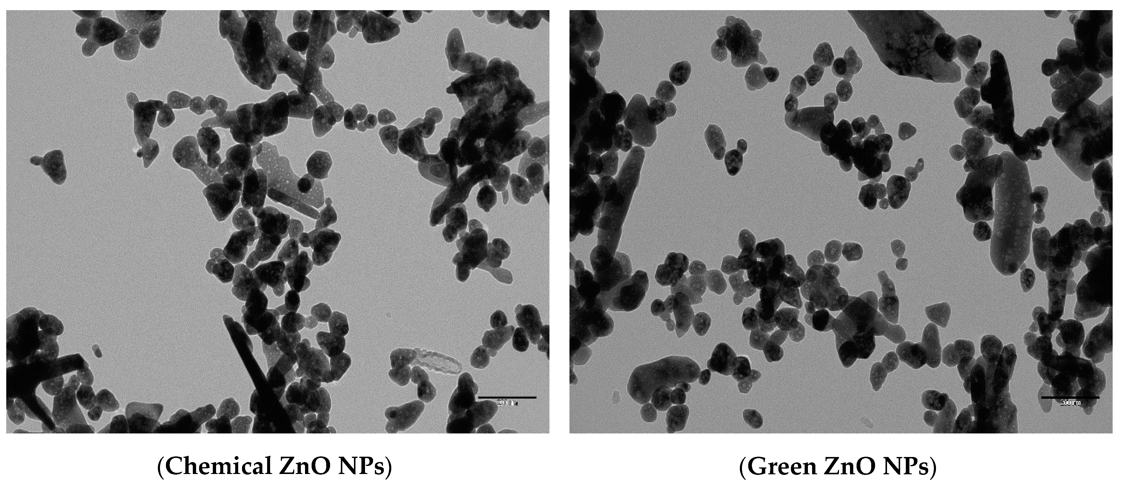 Energies 13 05001 g011