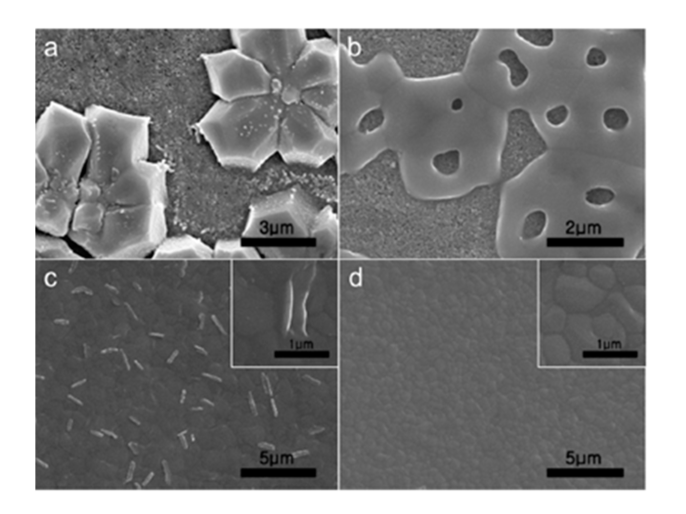 Energies 13 05092 g004