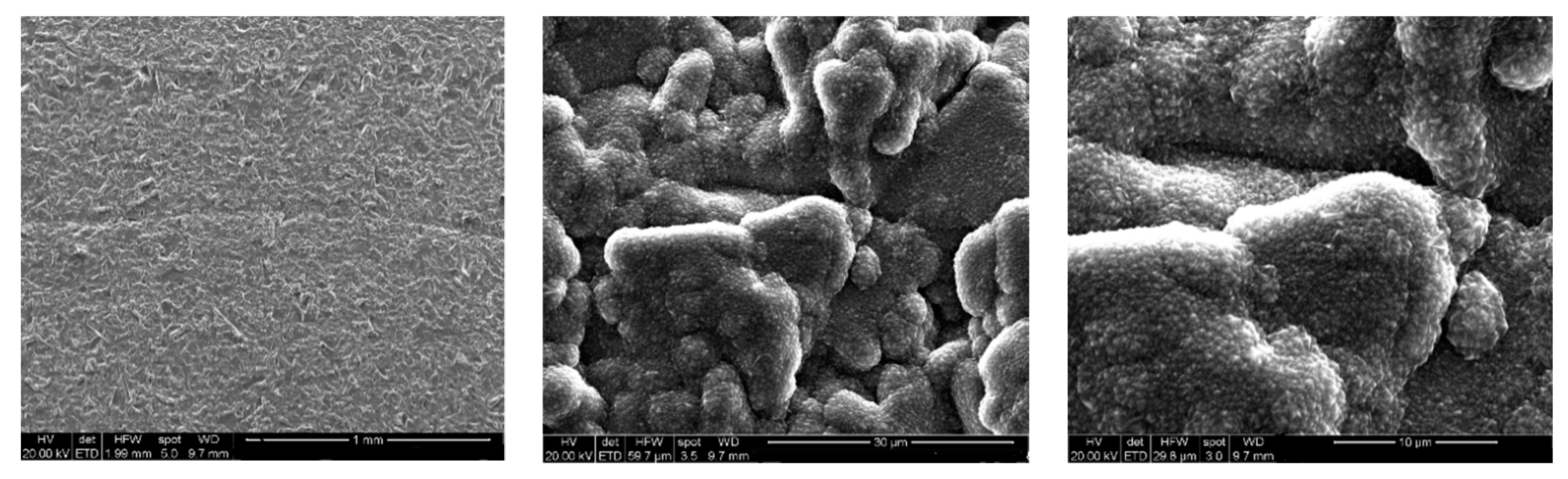 Energies 13 05265 g001