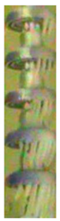 Energies 13 05305 i005