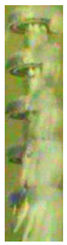 Energies 13 05305 i006