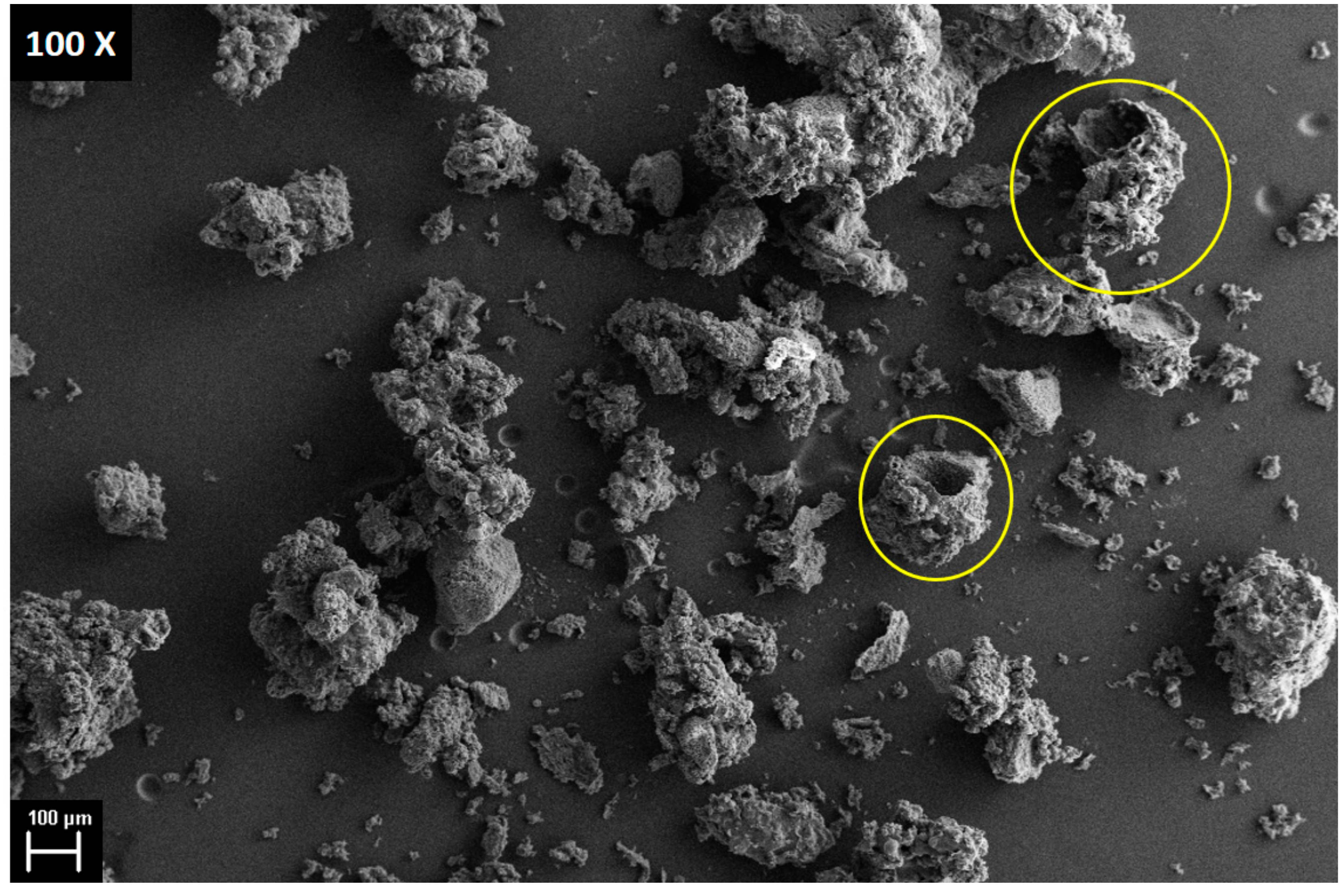 Energies 13 05395 g003